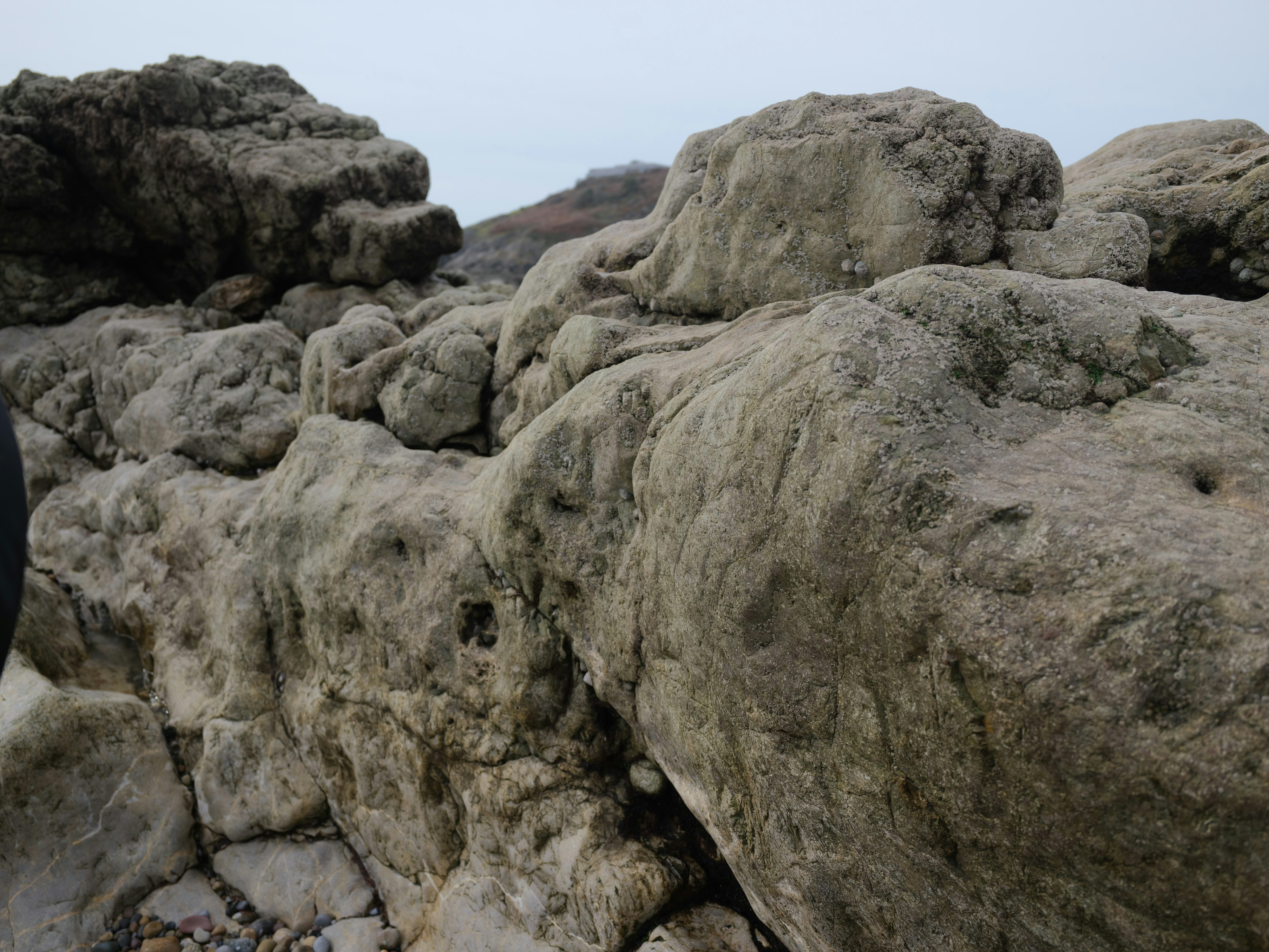 Photo by tanyabarrow