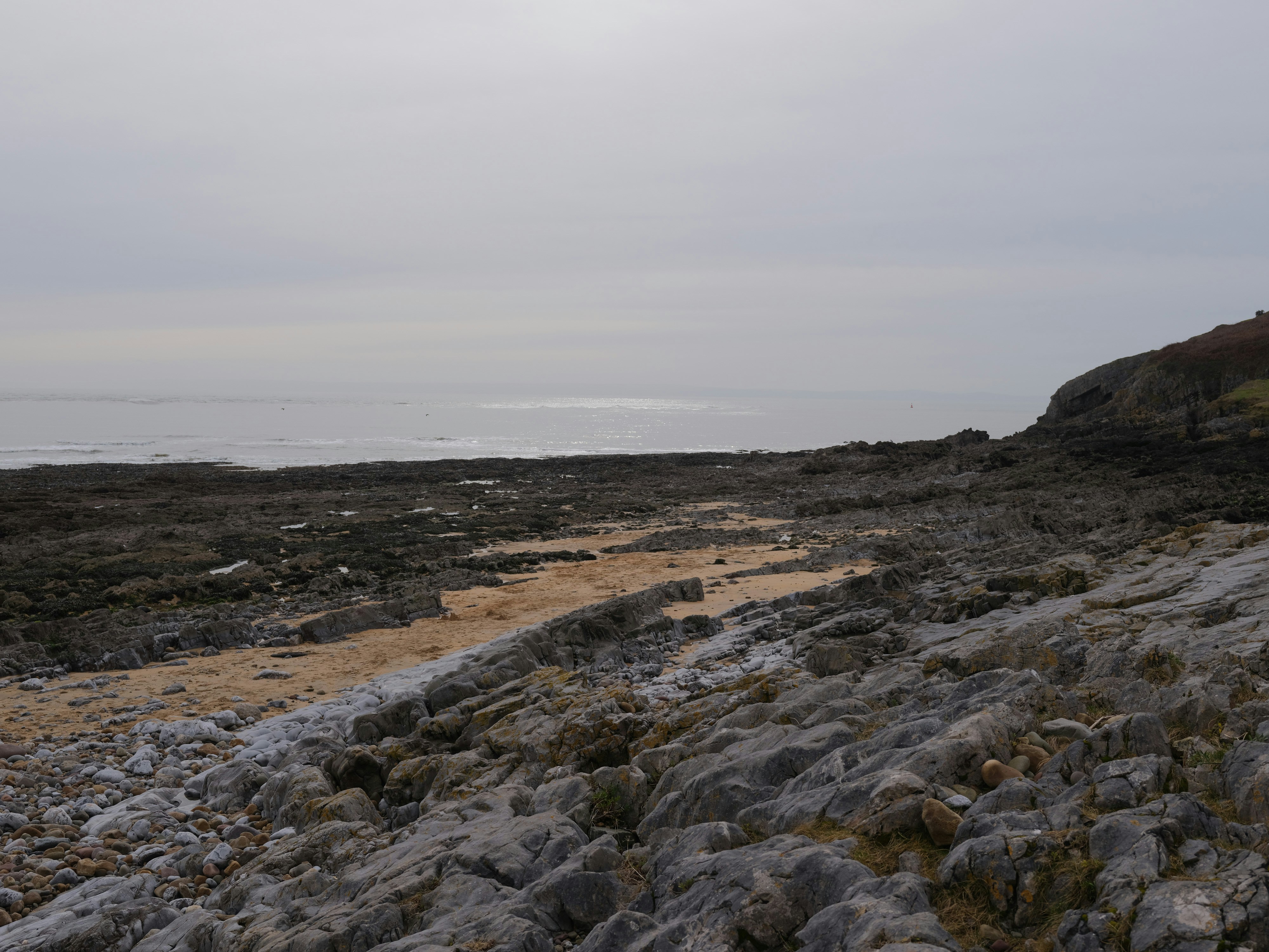 Photo by tanyabarrow