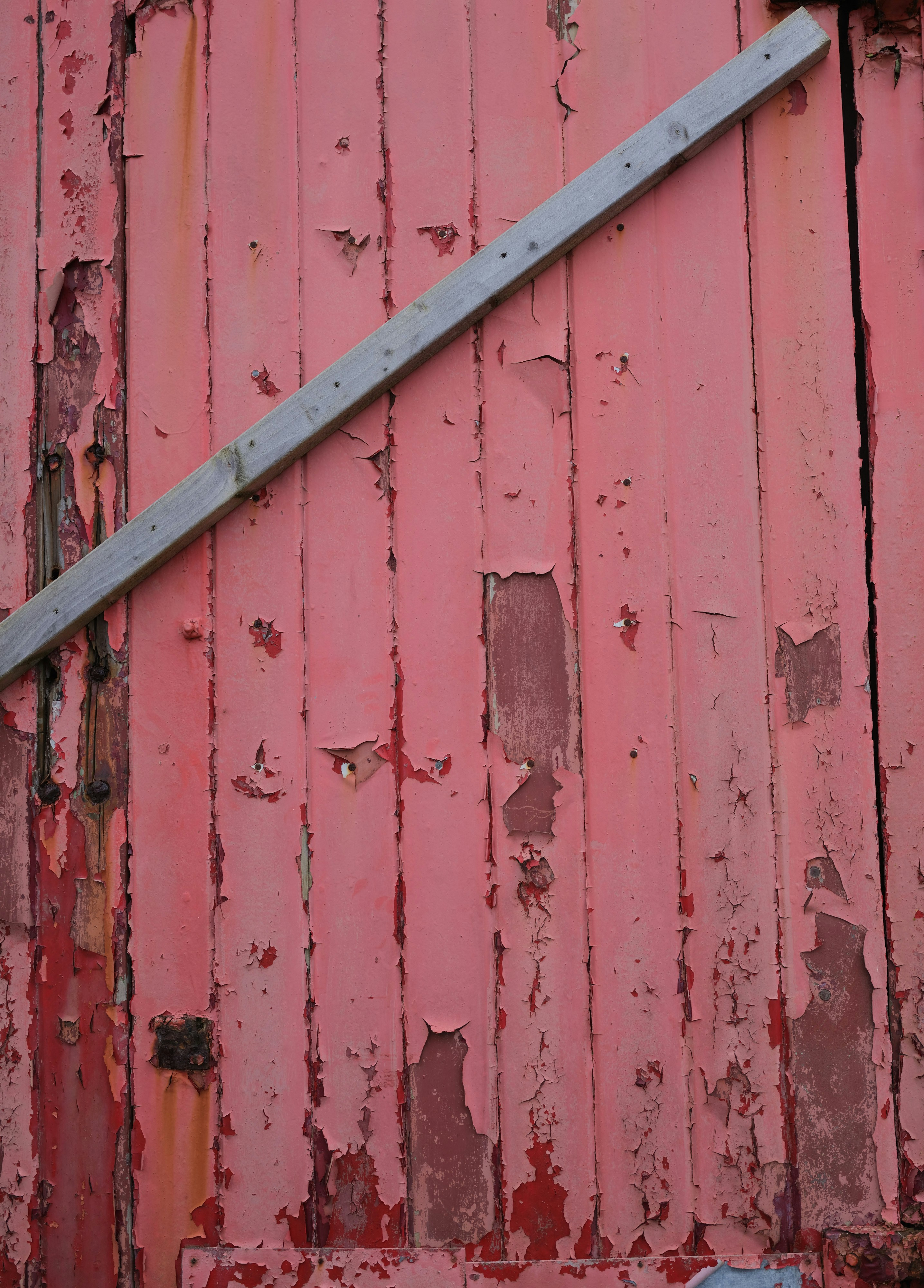 Photo by tanyabarrow