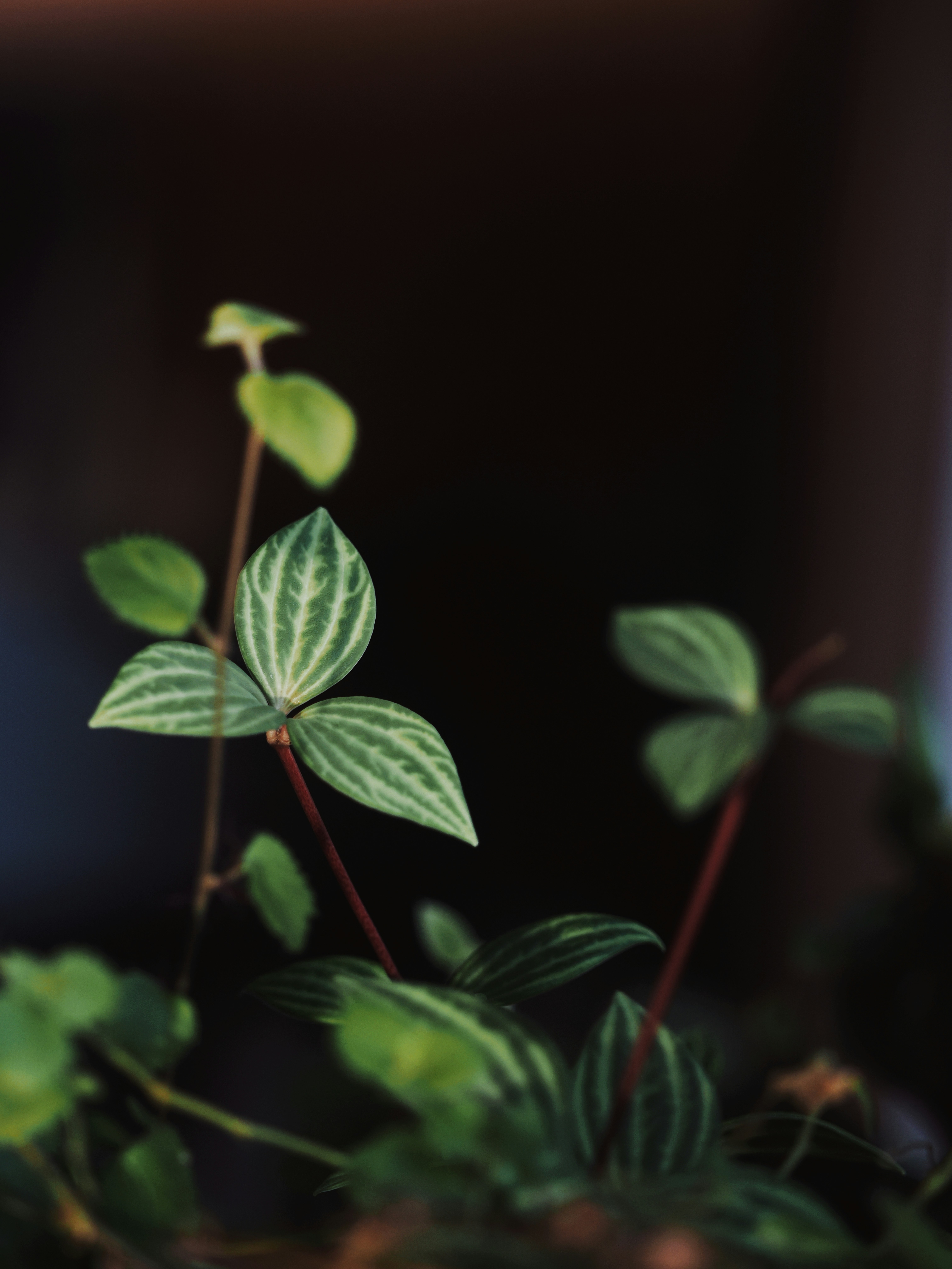 Photo by liliantruong2603