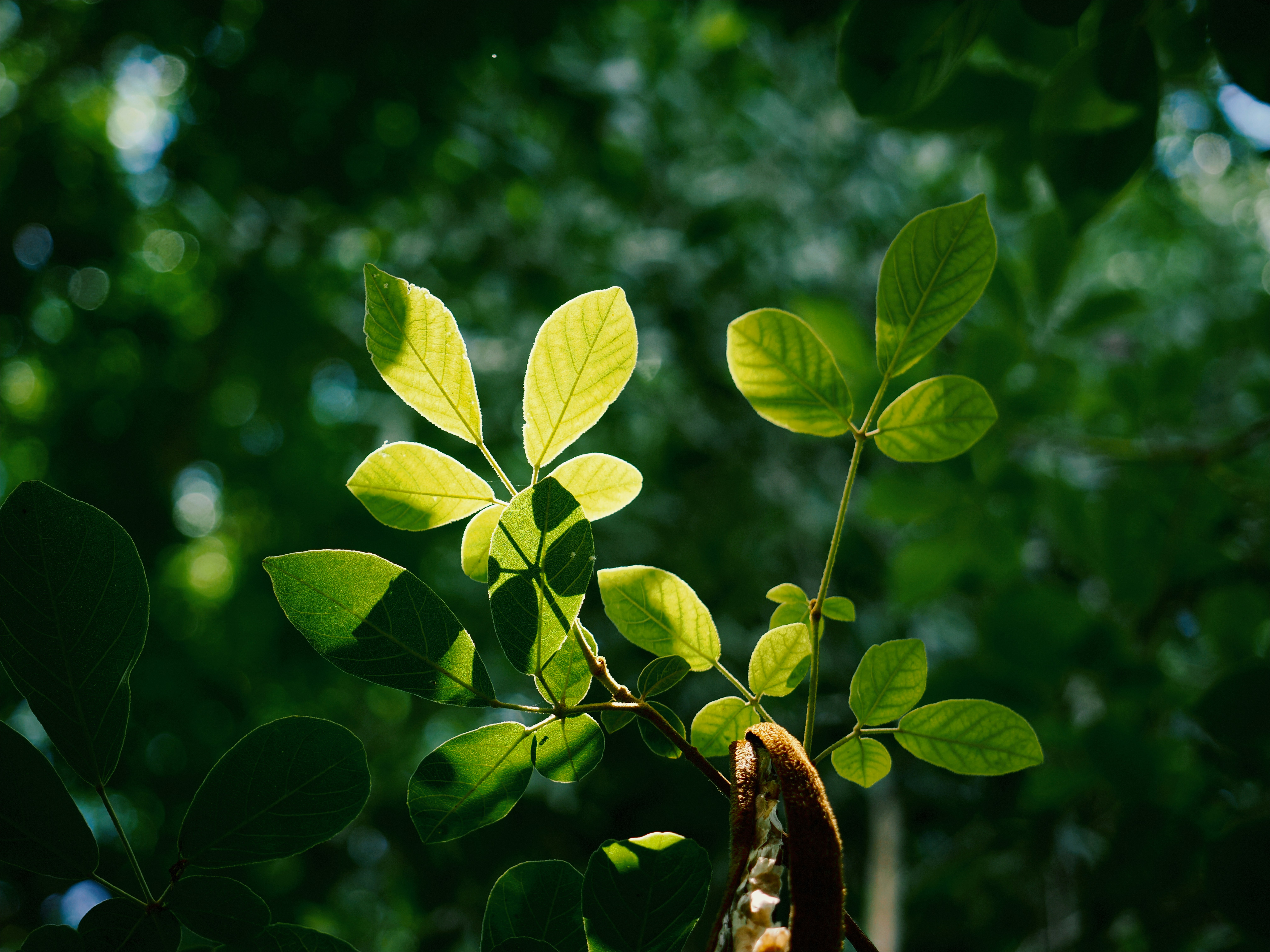 Photo by liliantruong2603