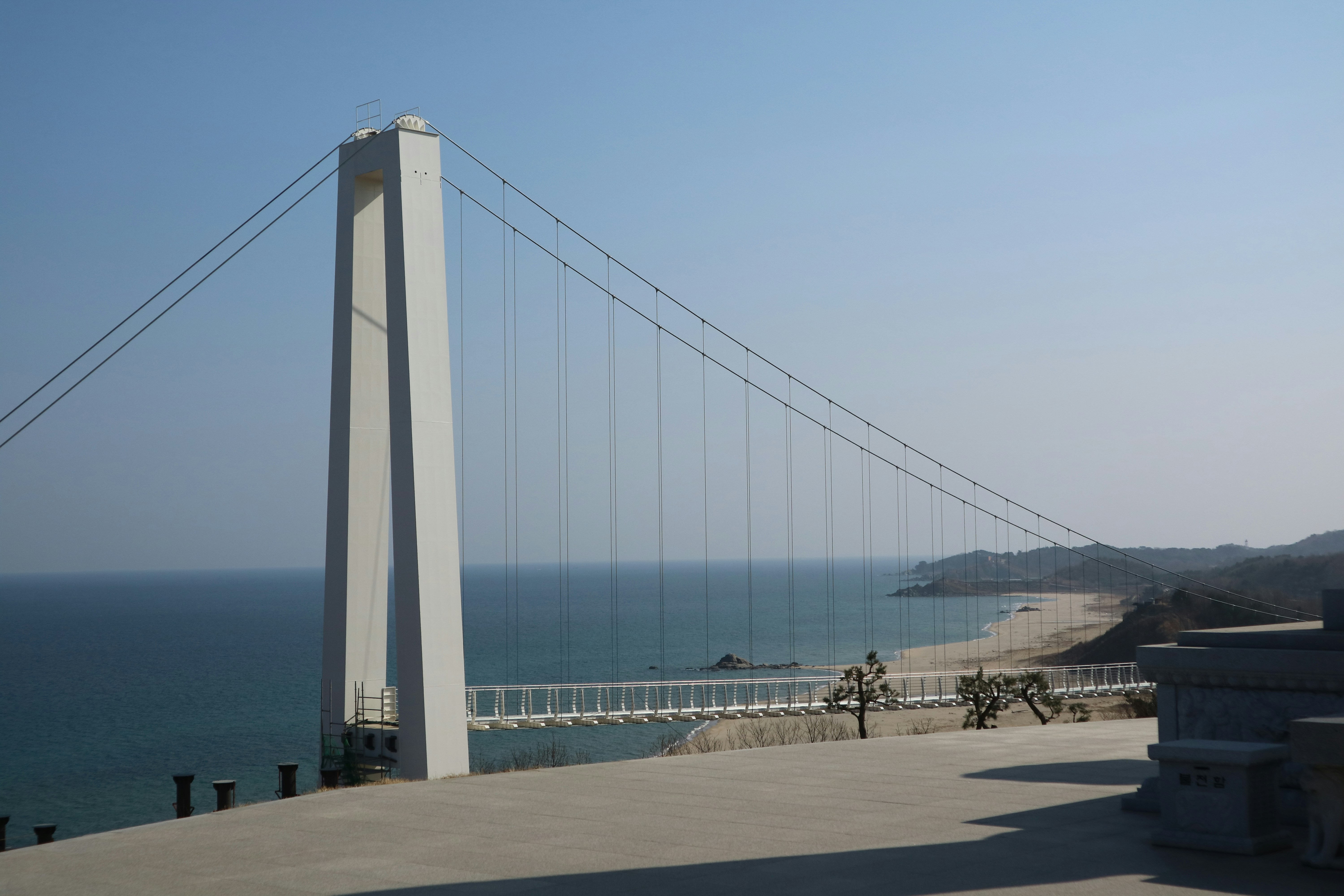 穏やかな青い海にかかる現代の吊り橋