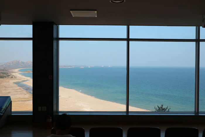 Windows Replacement