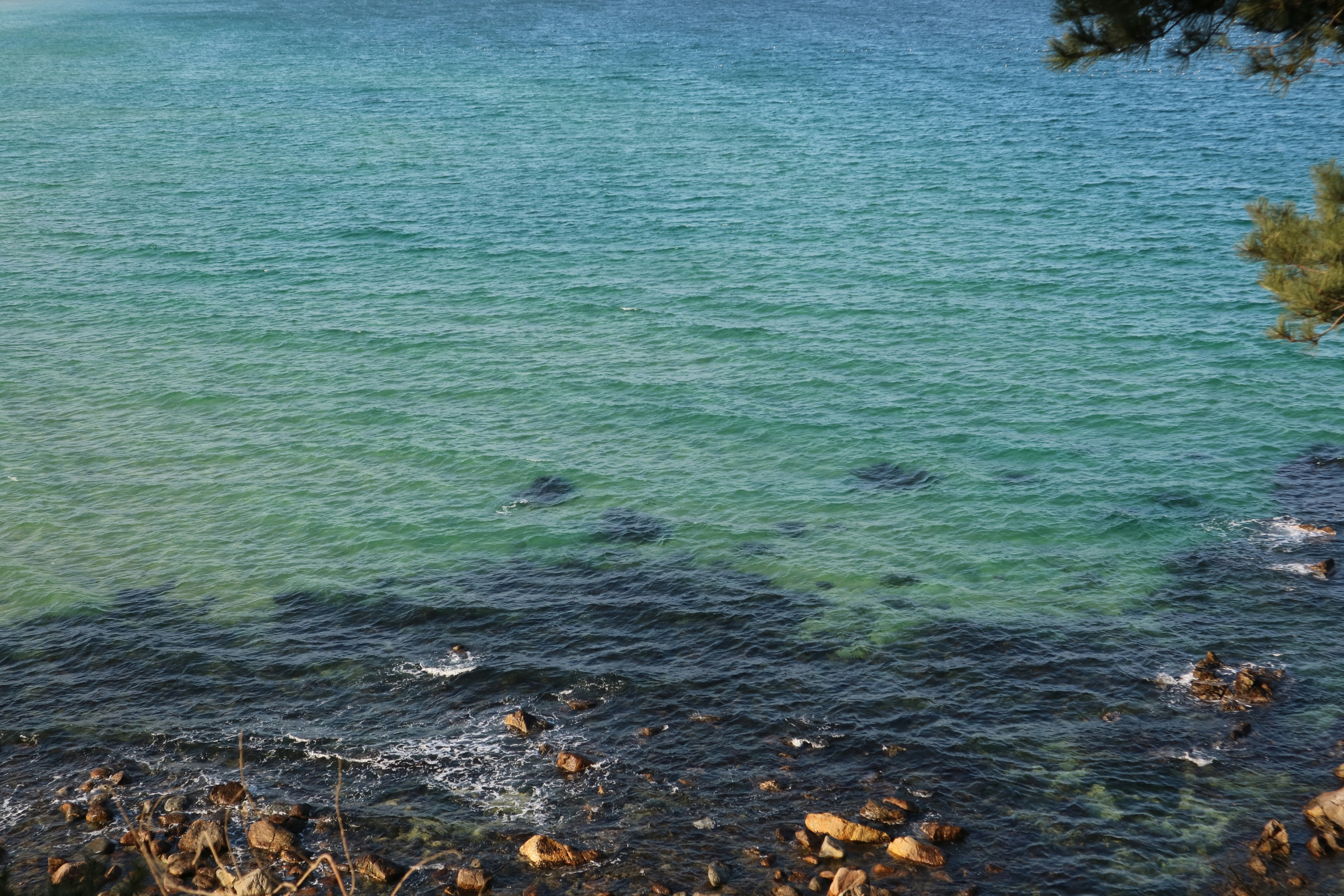 Photo by partofworld