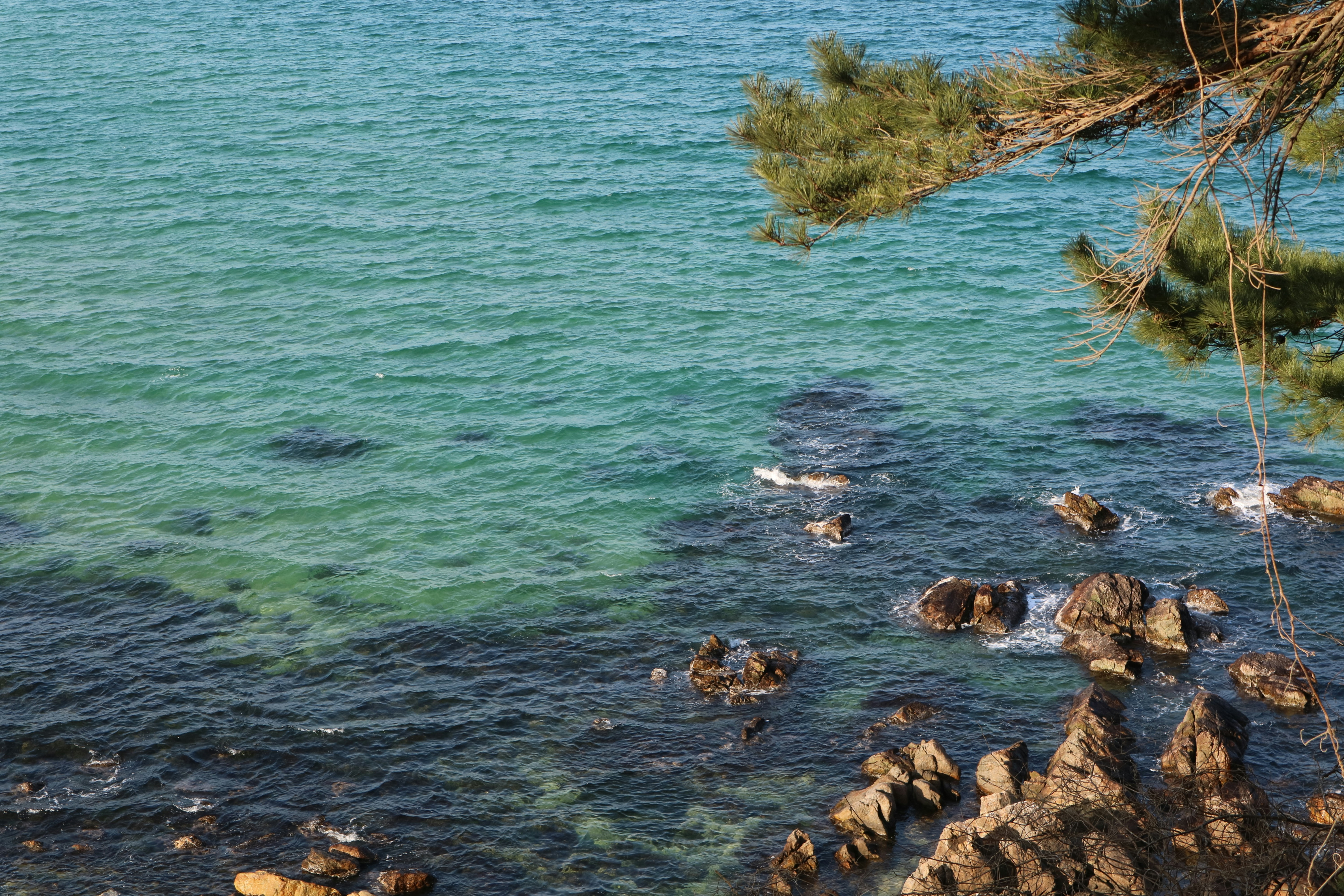 Photo by partofworld