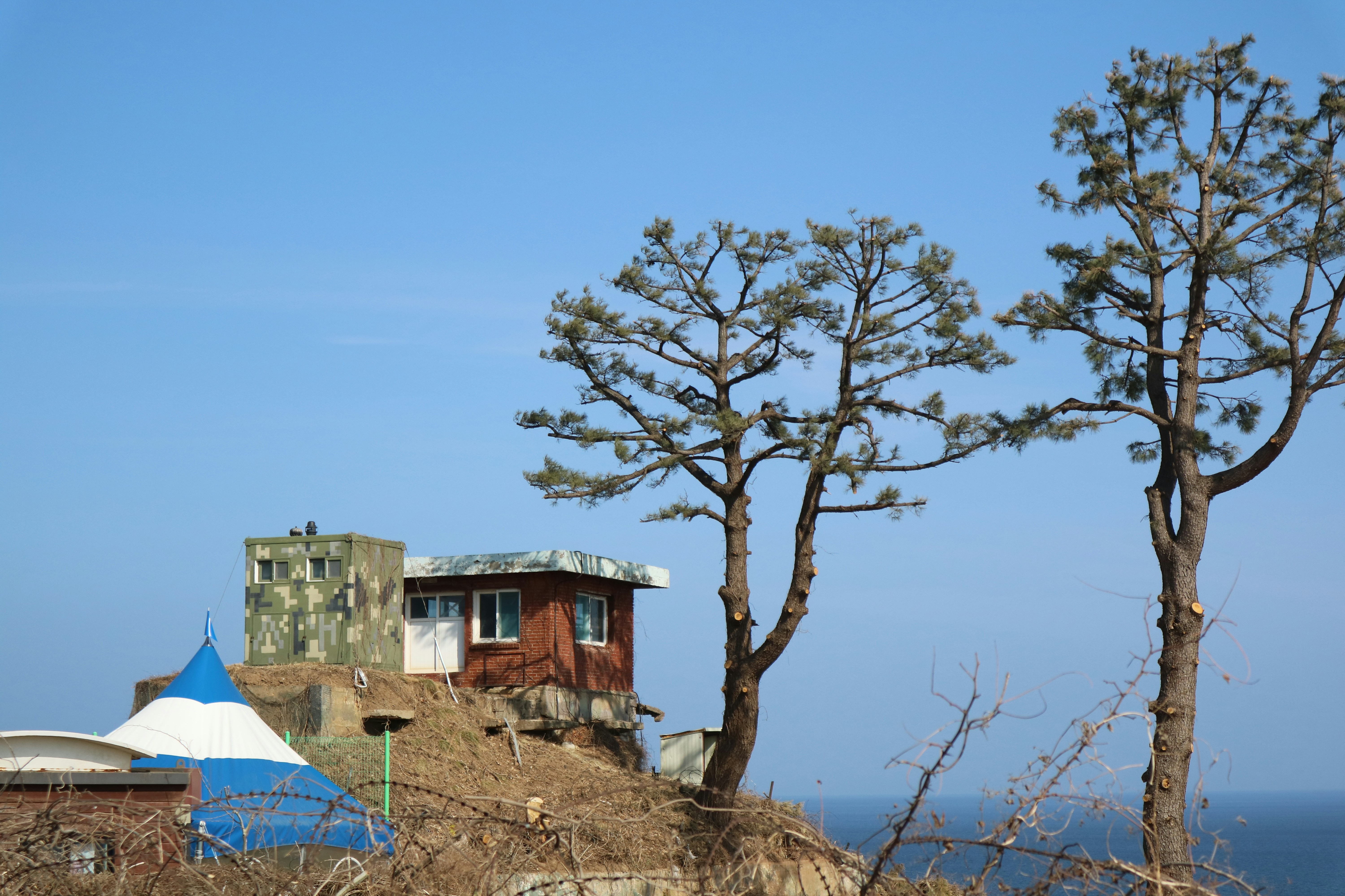 Bâtiments sur une colline avec deux arbres et vue sur l’océan