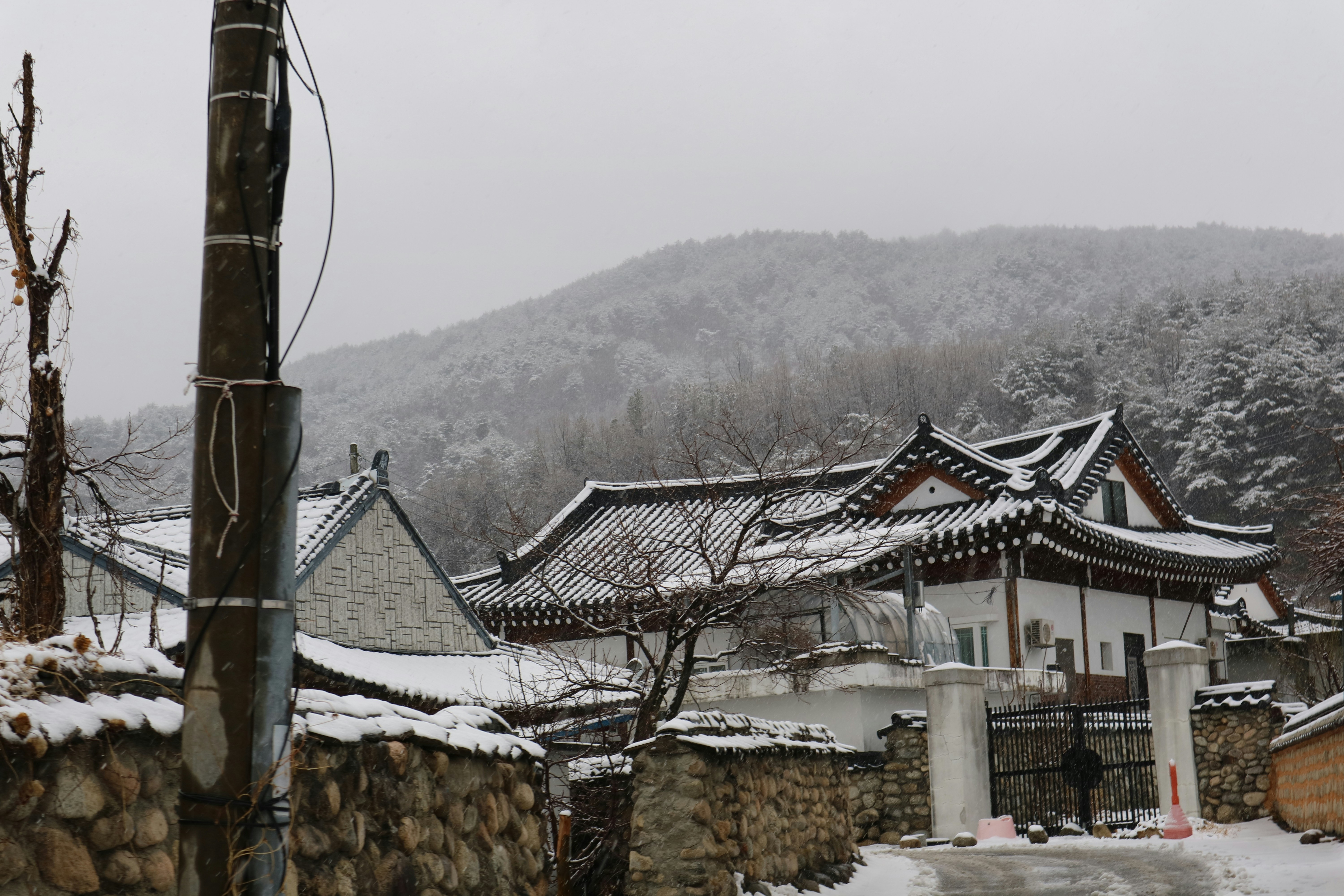 Traditional korean houses covered in snow