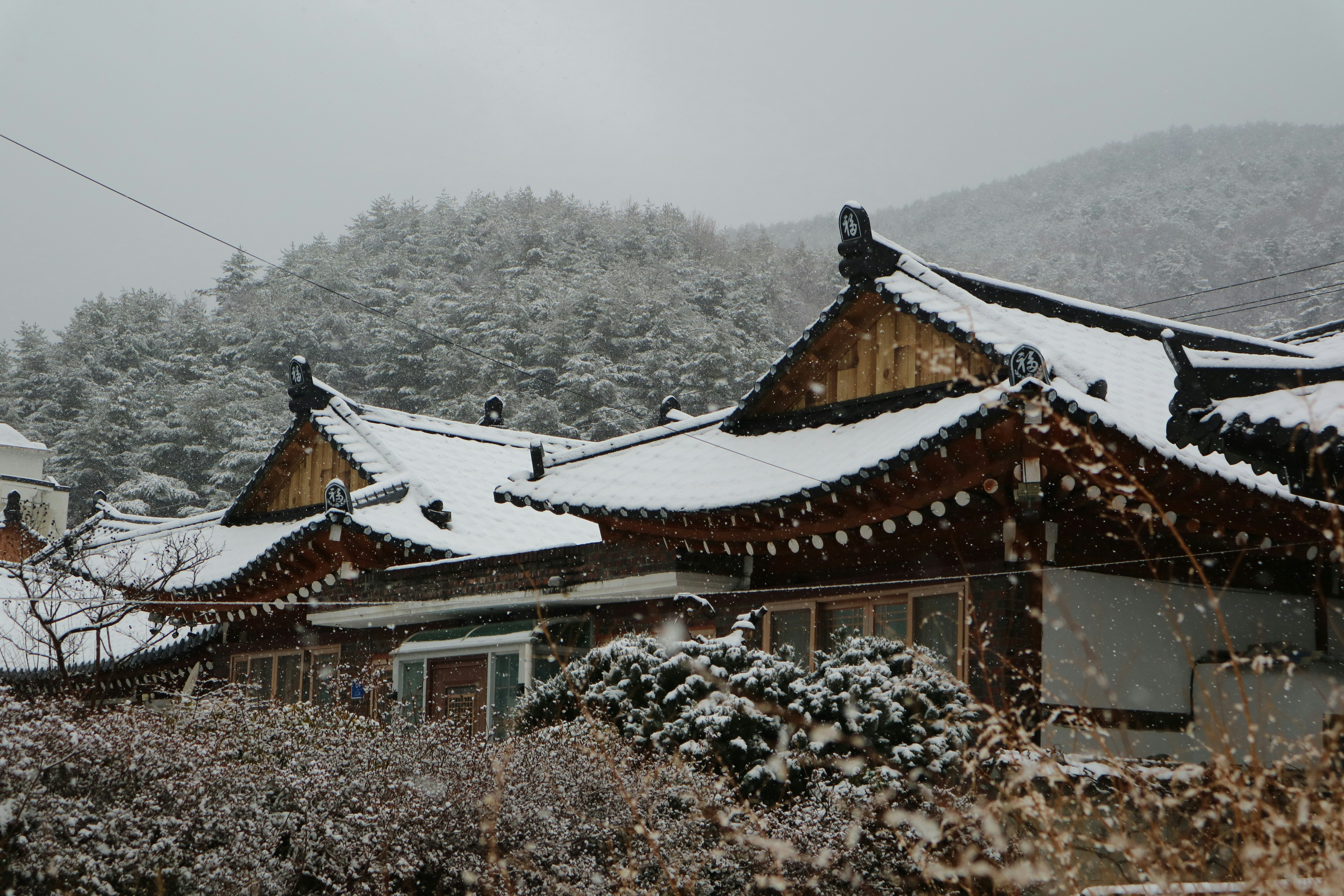 겨울에 전북 고창 선운산오토 핵심 개념을 담은 읽기 좋은 정보 카드 - 독자 이해를 위한 이미지