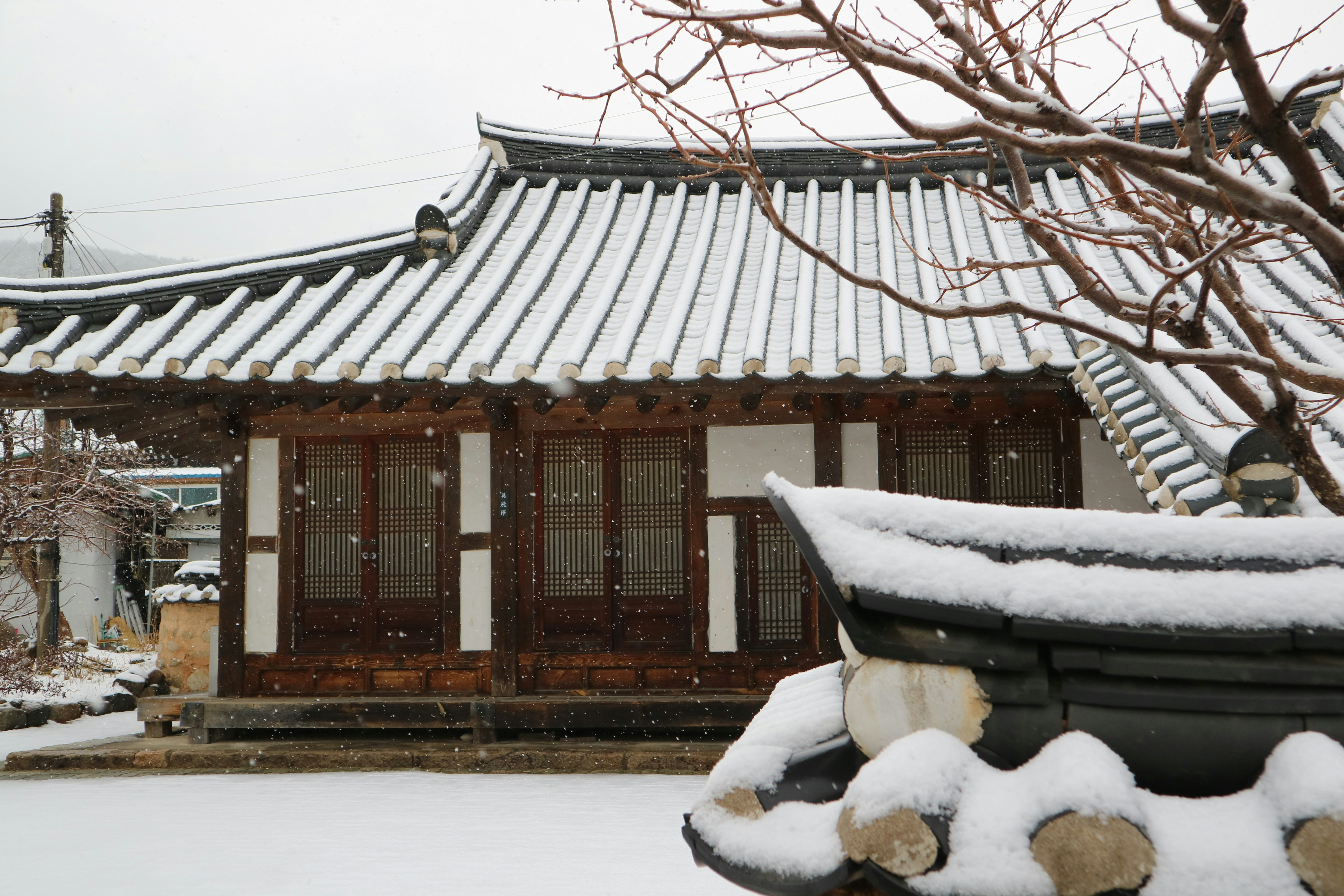 Photo by partofworld