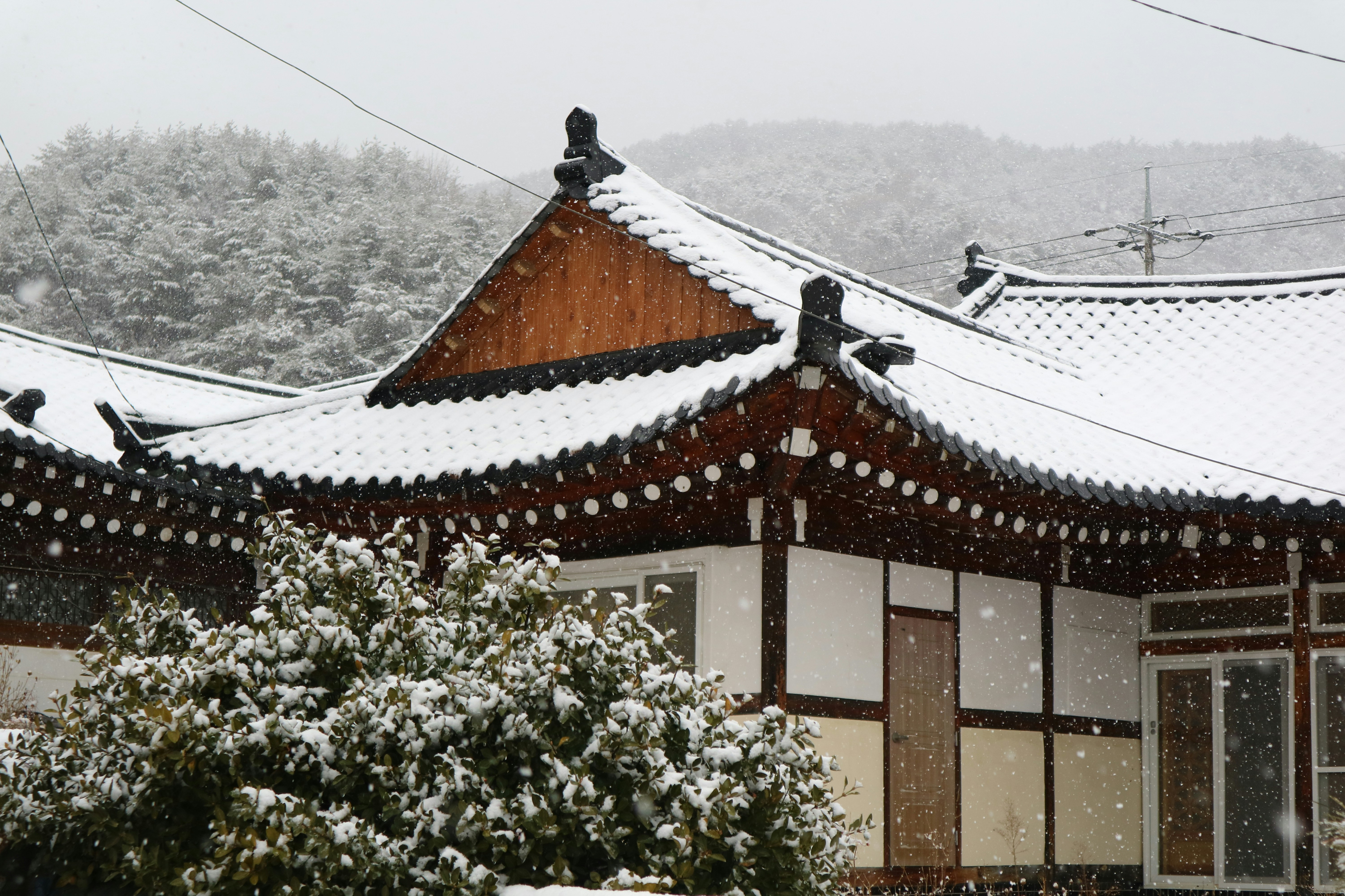 Photo by partofworld