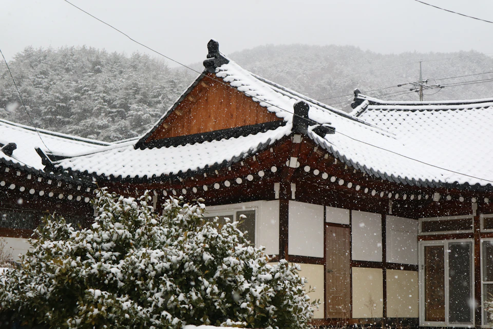 Snow on the tiled roof of a traditional hanok