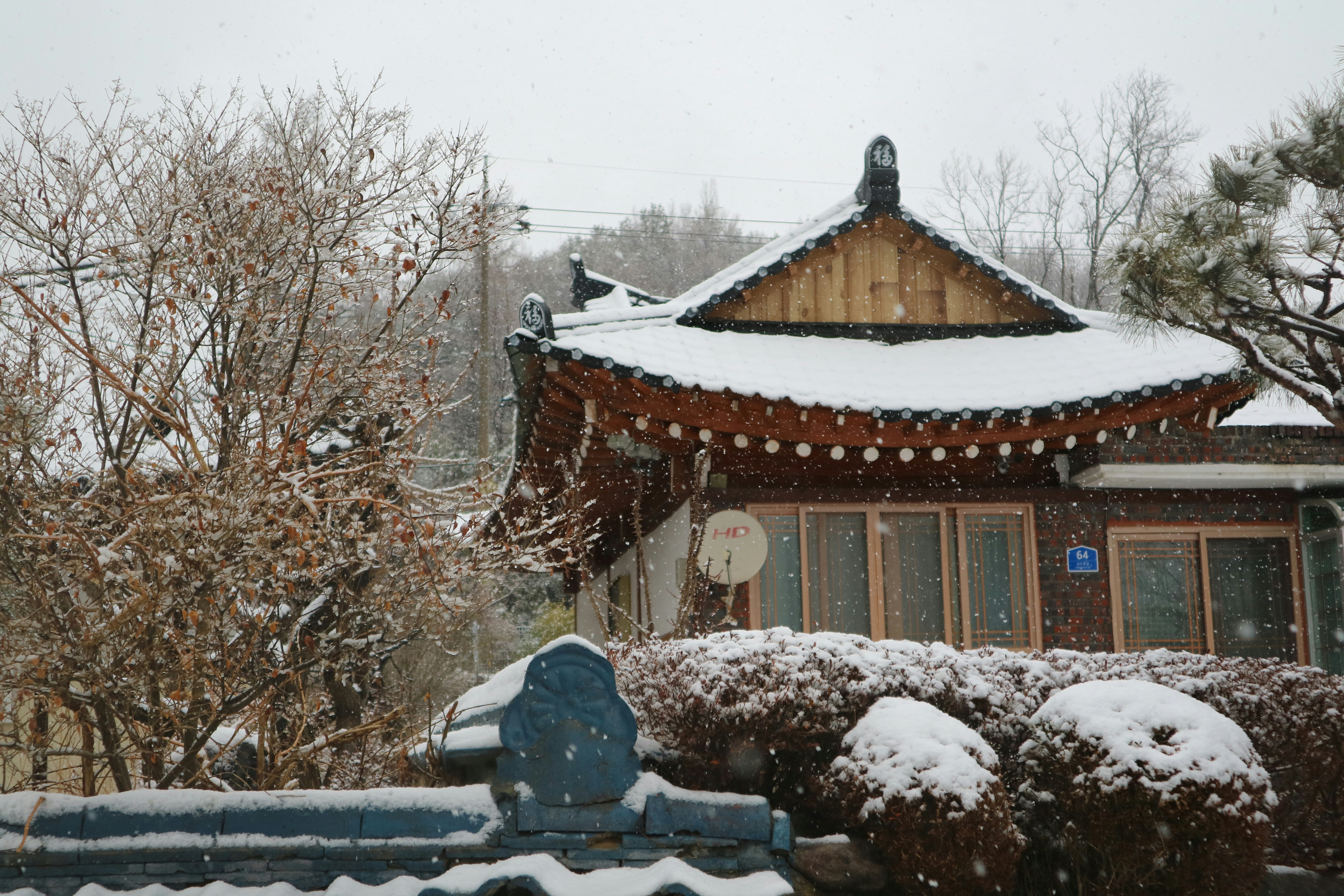 Photo by partofworld