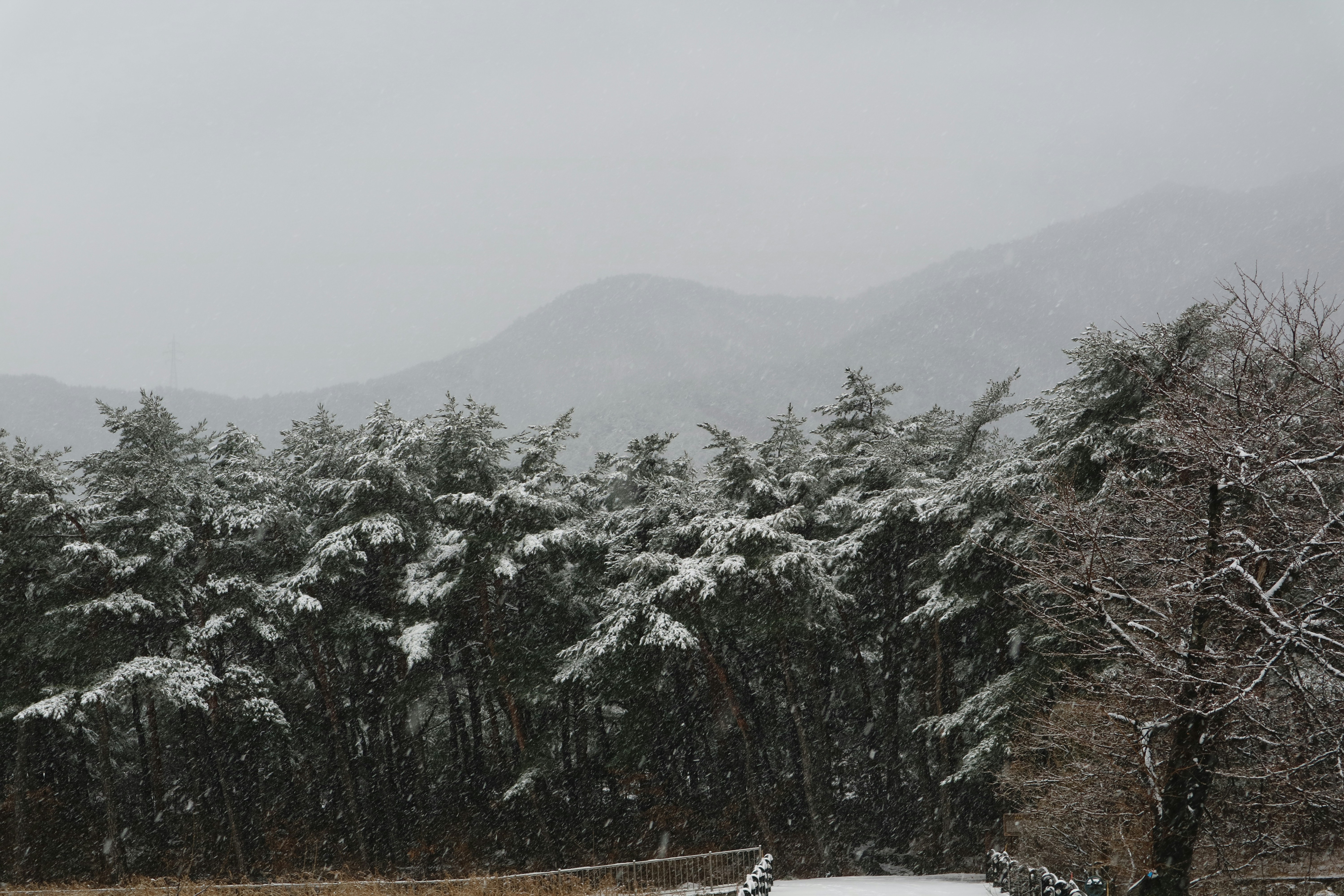 Photo by partofworld