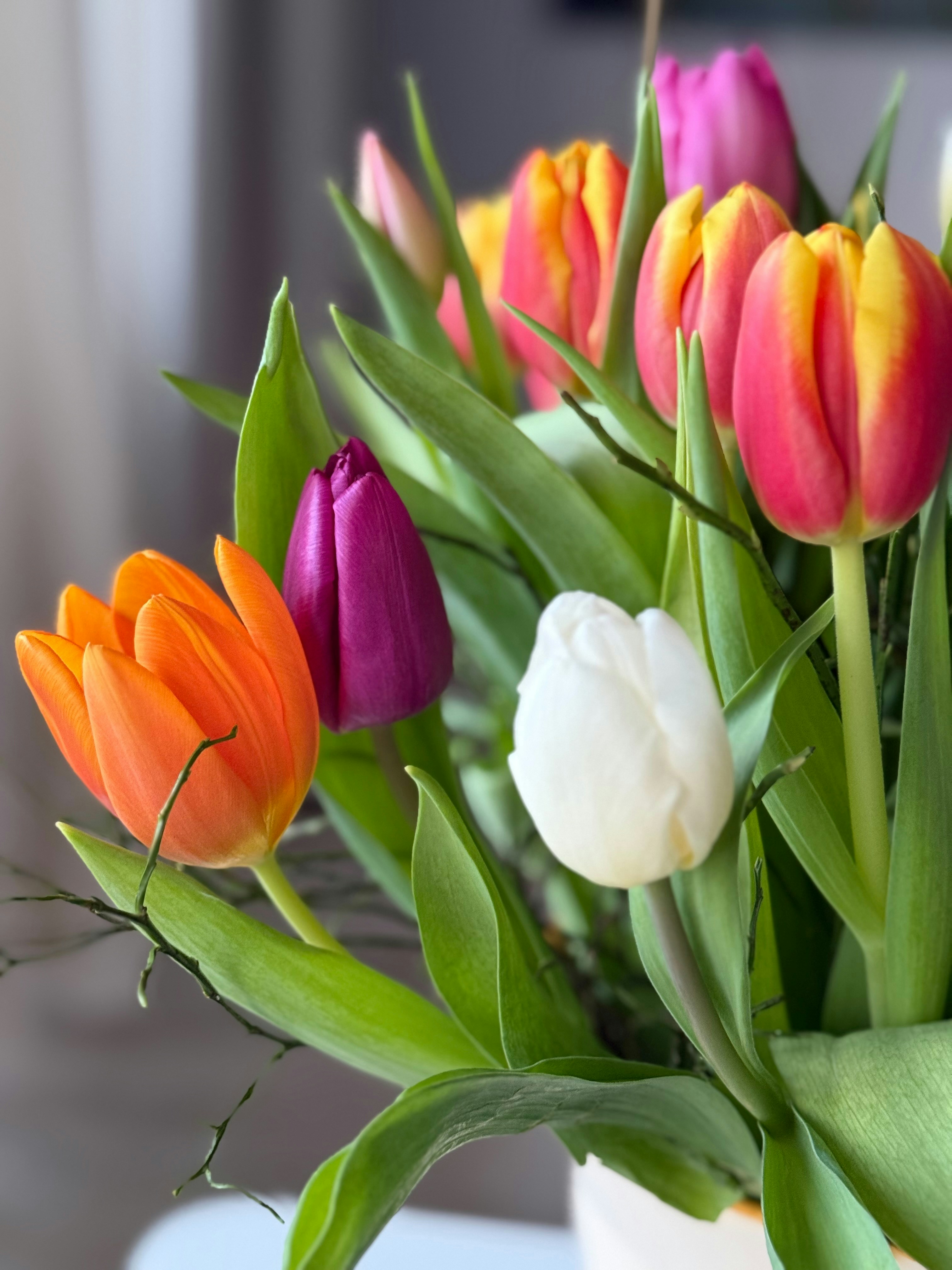 Photo by photosfromhome