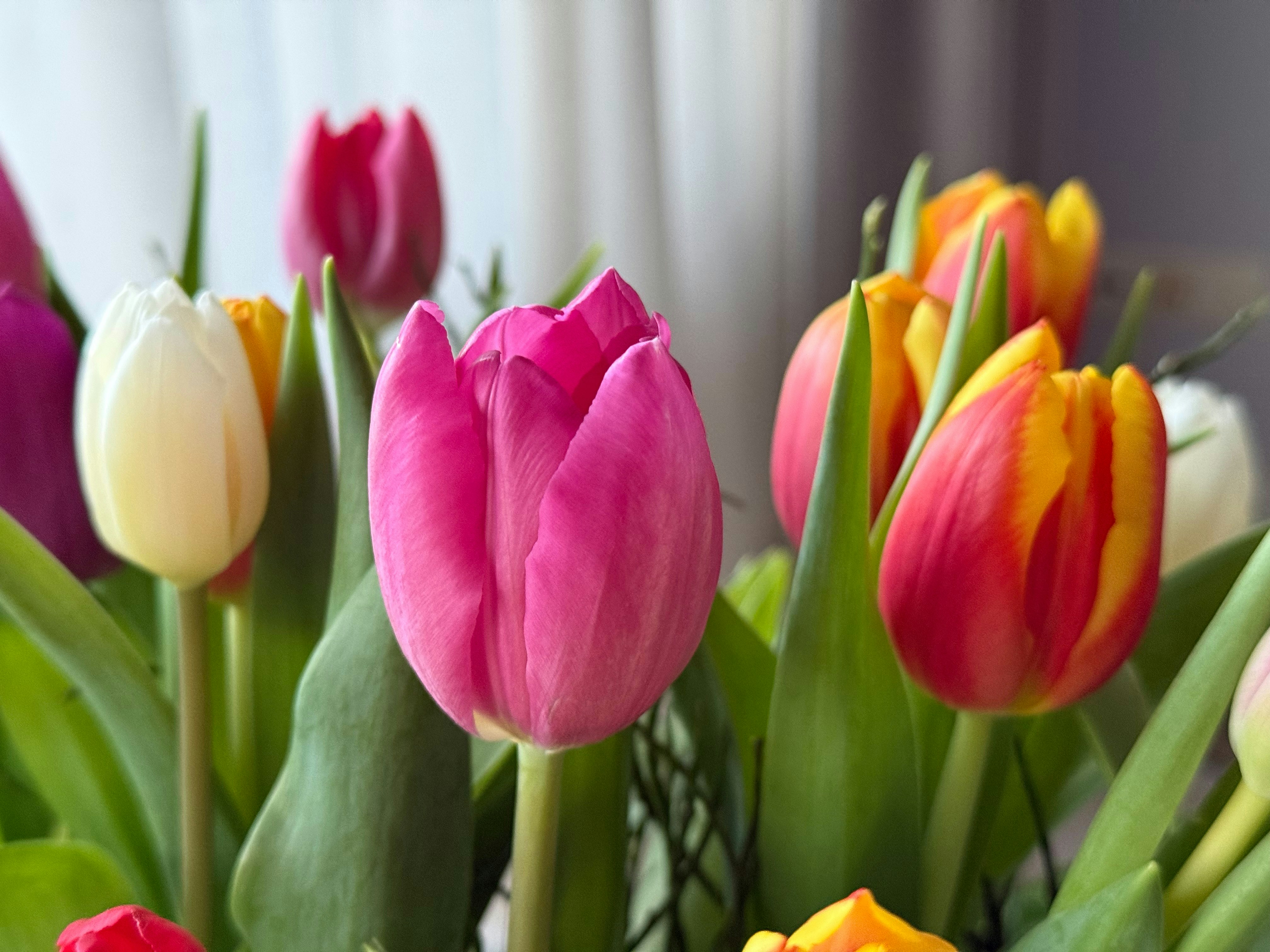 Photo by photosfromhome