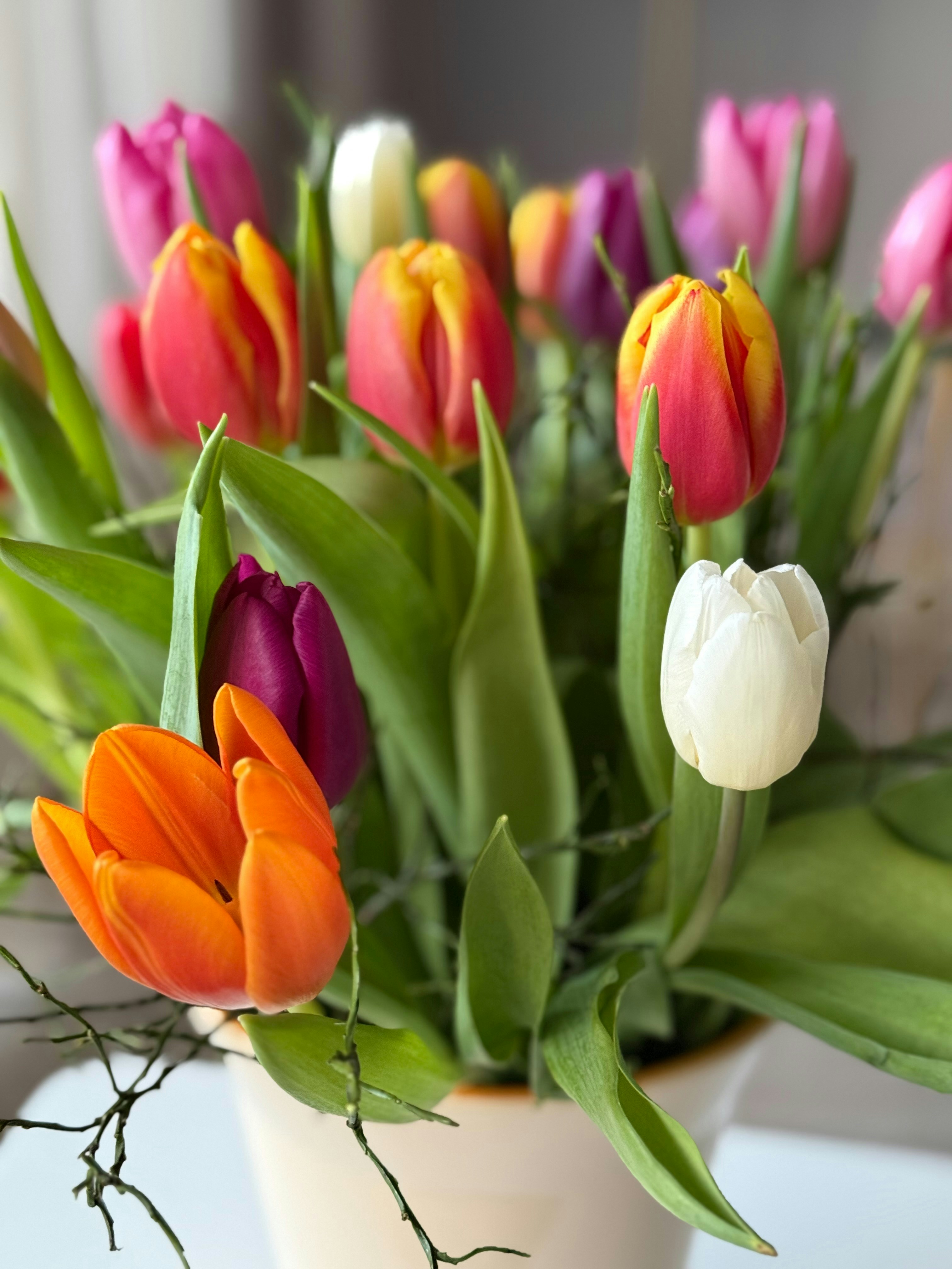 Photo by photosfromhome