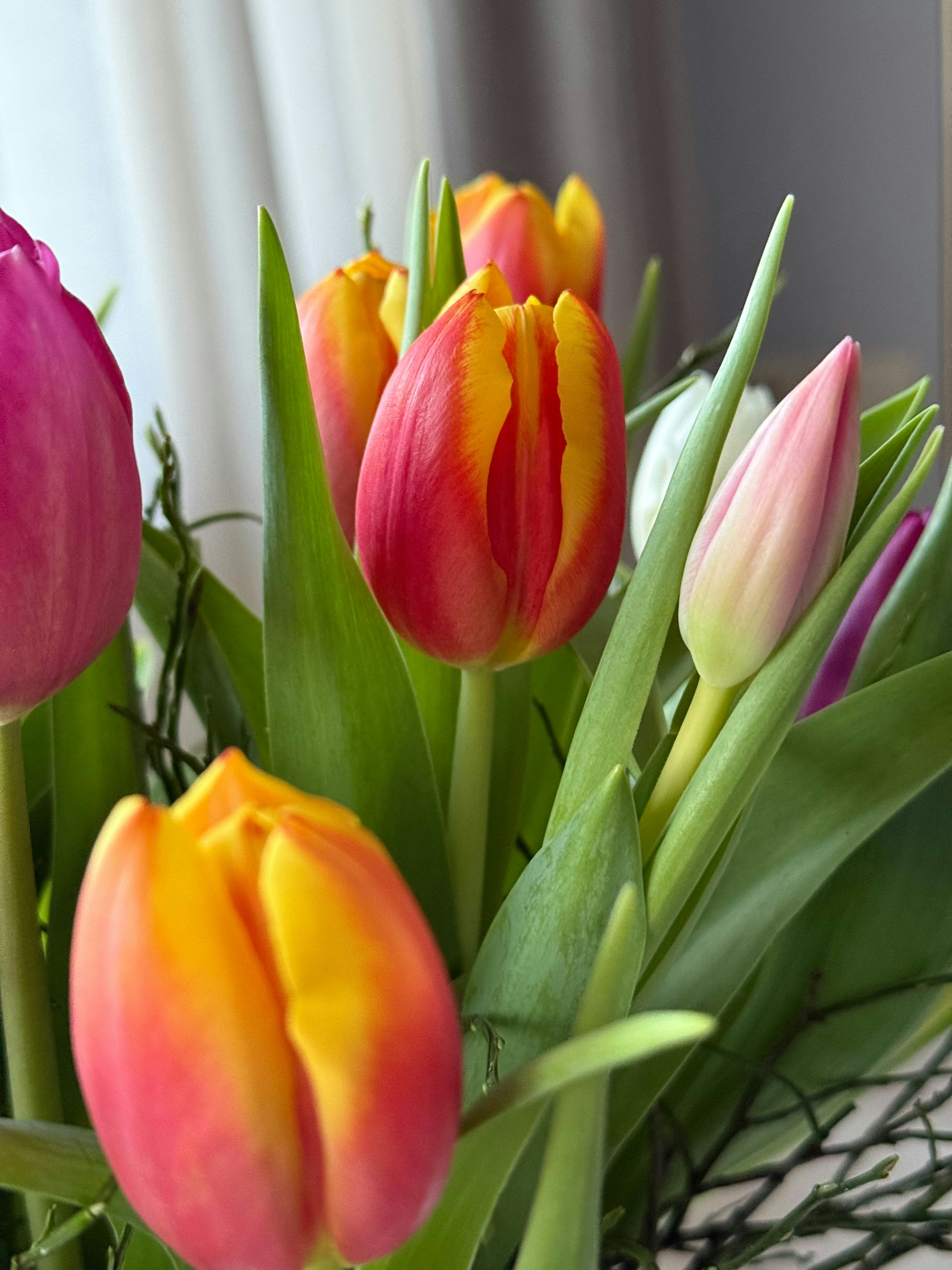 Photo by photosfromhome