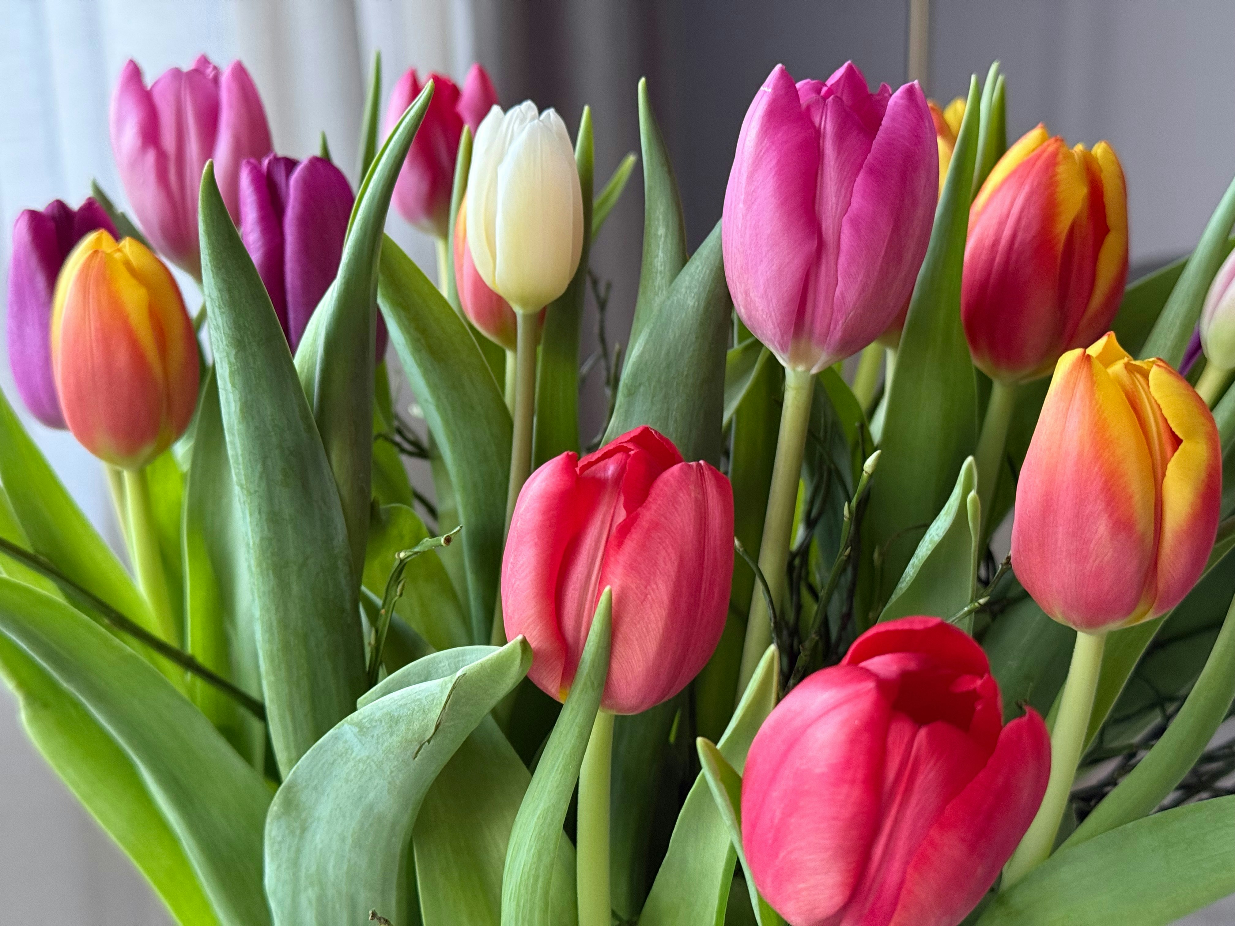 Photo by photosfromhome