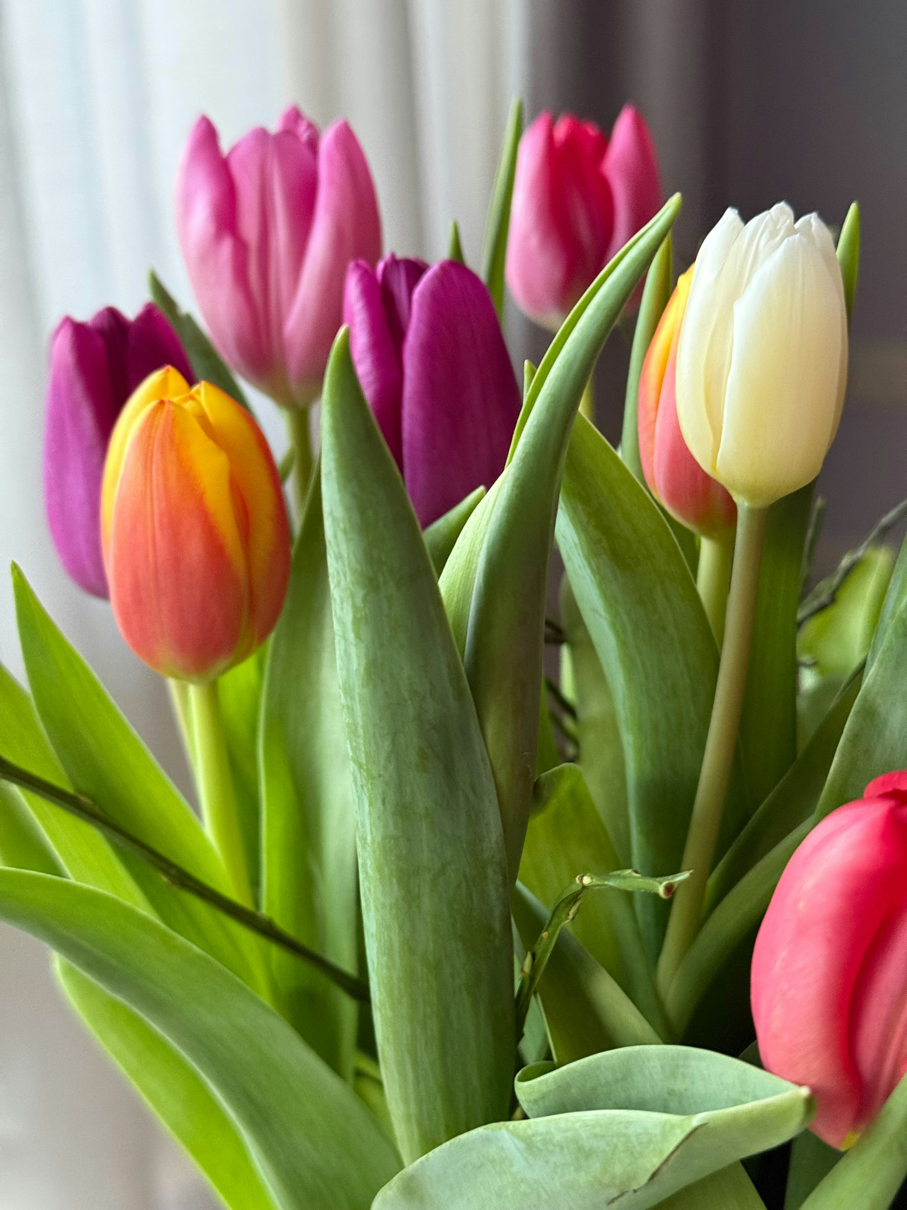 Photo by photosfromhome