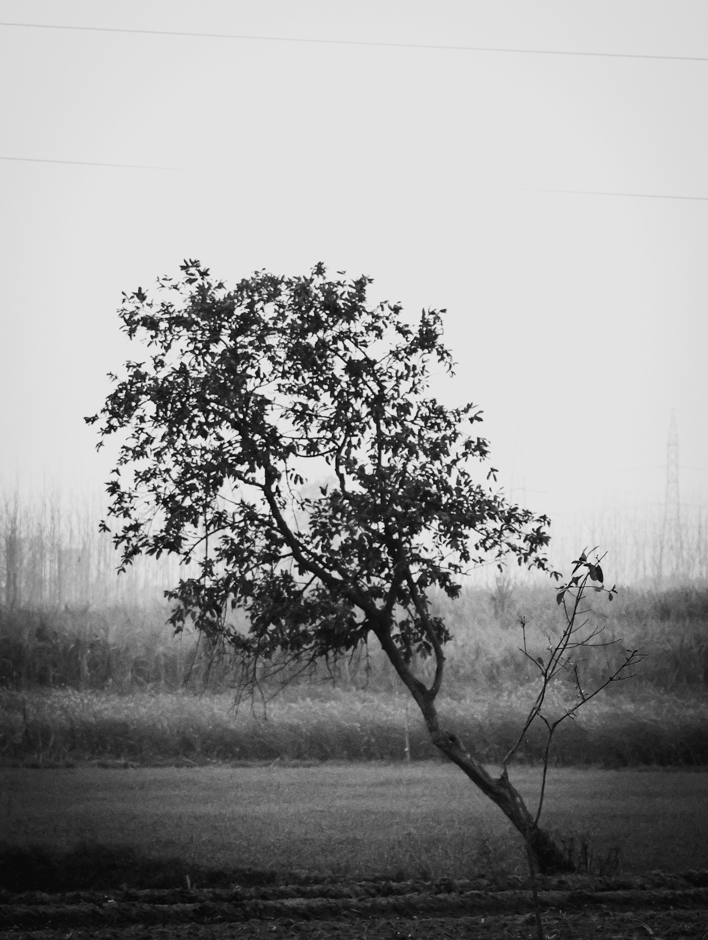 Photo by dhruvwithgalaxy