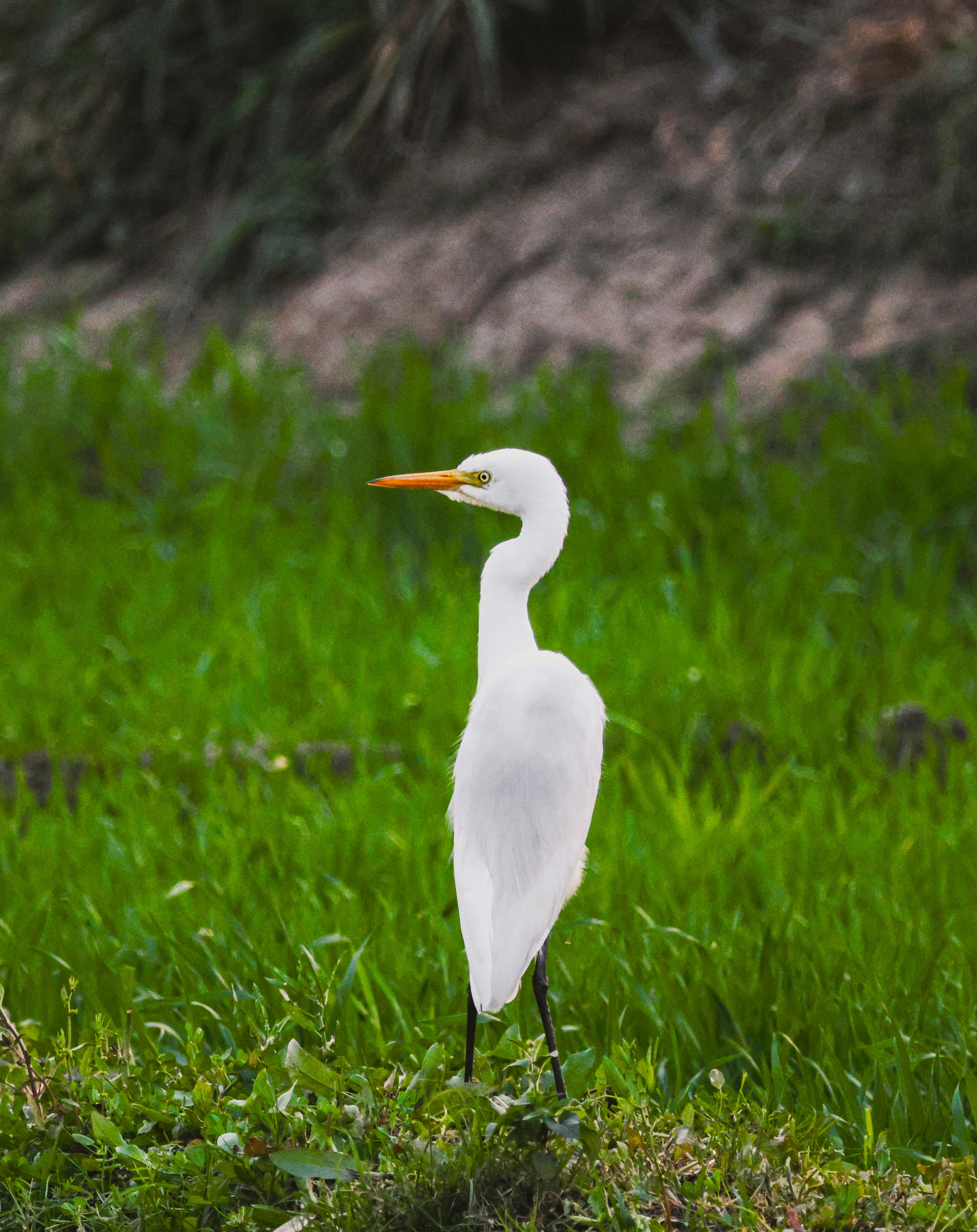 Photo by dhruvwithgalaxy