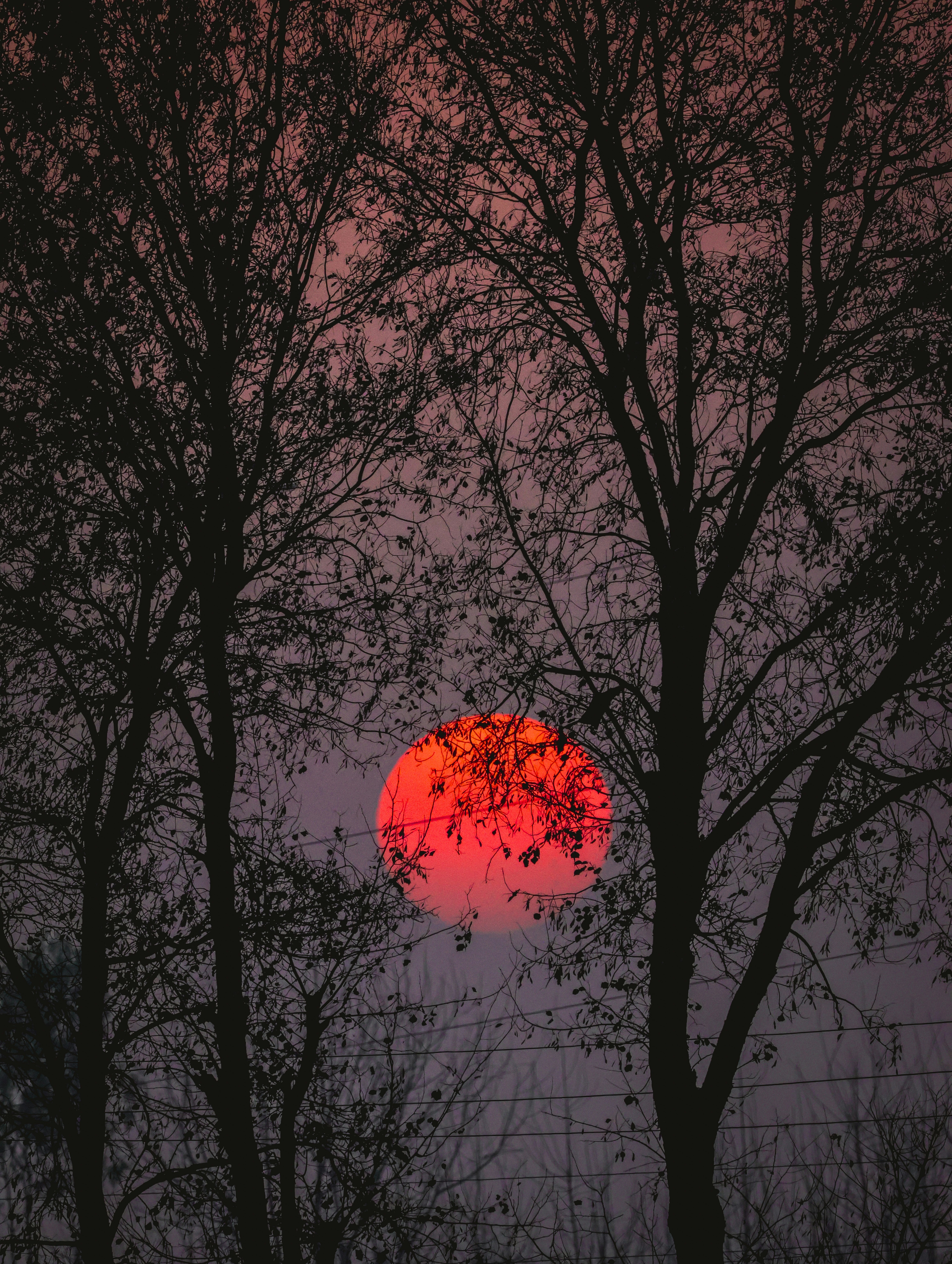 Photo by dhruvwithgalaxy