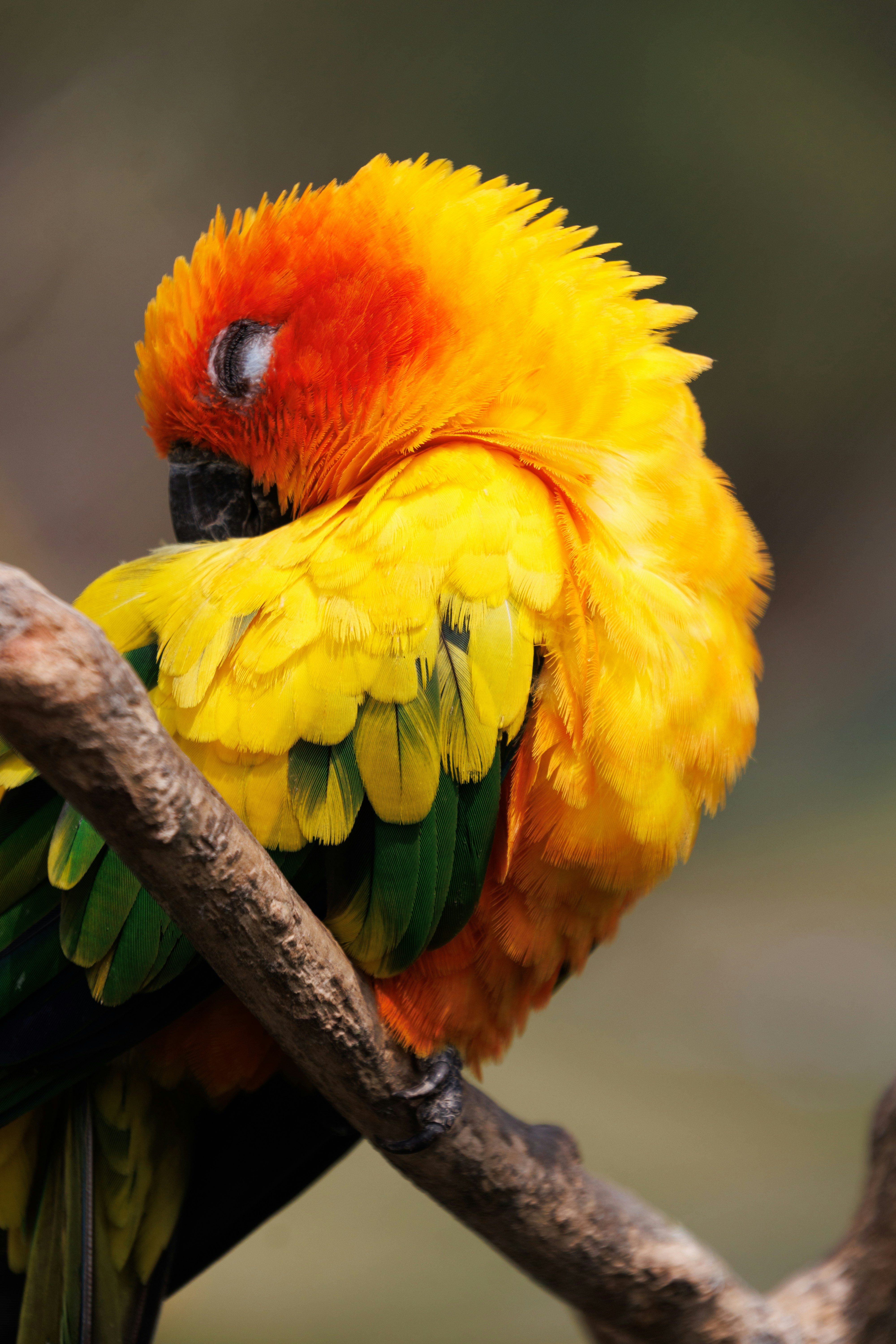 Photo by floatflower