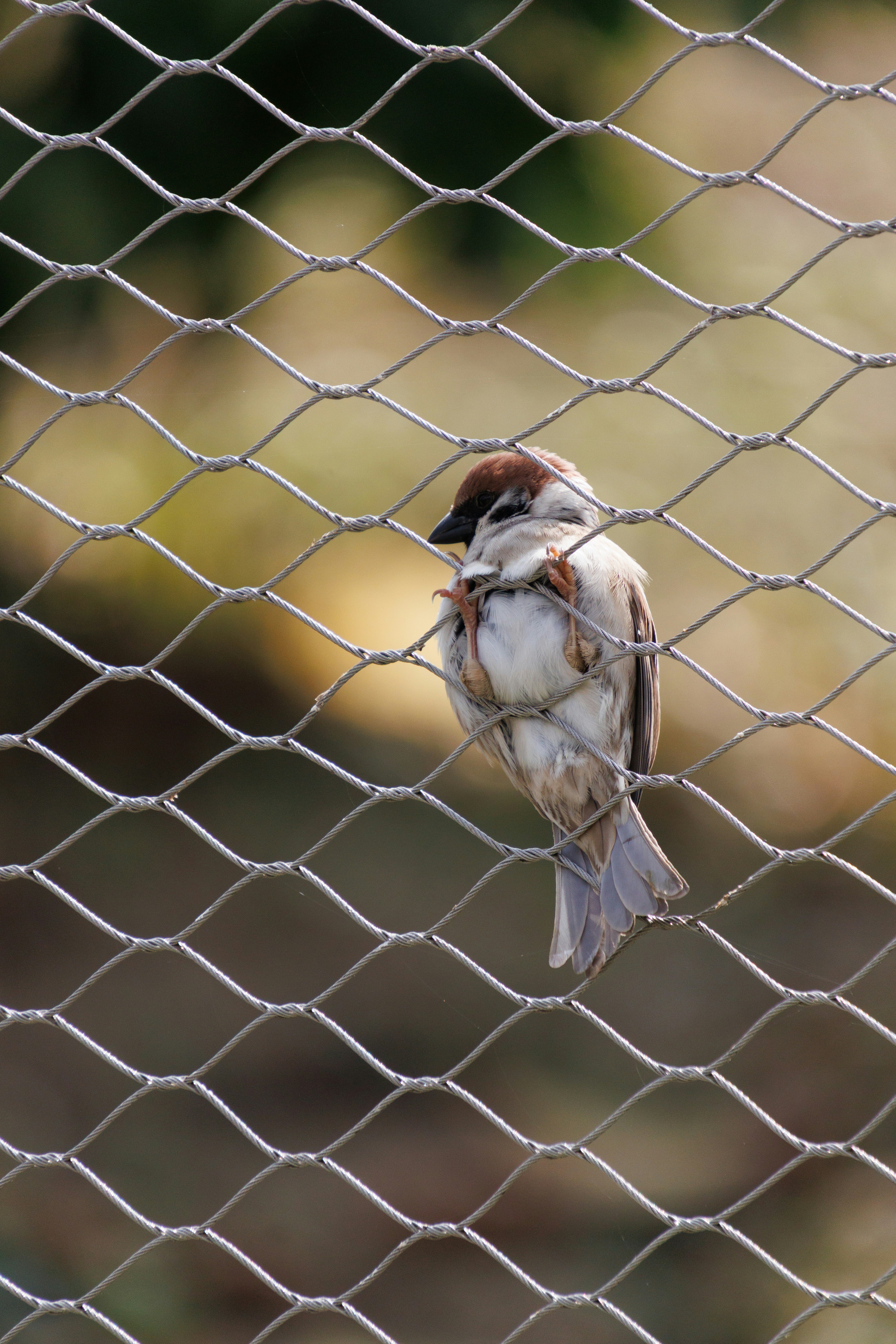 Photo by floatflower