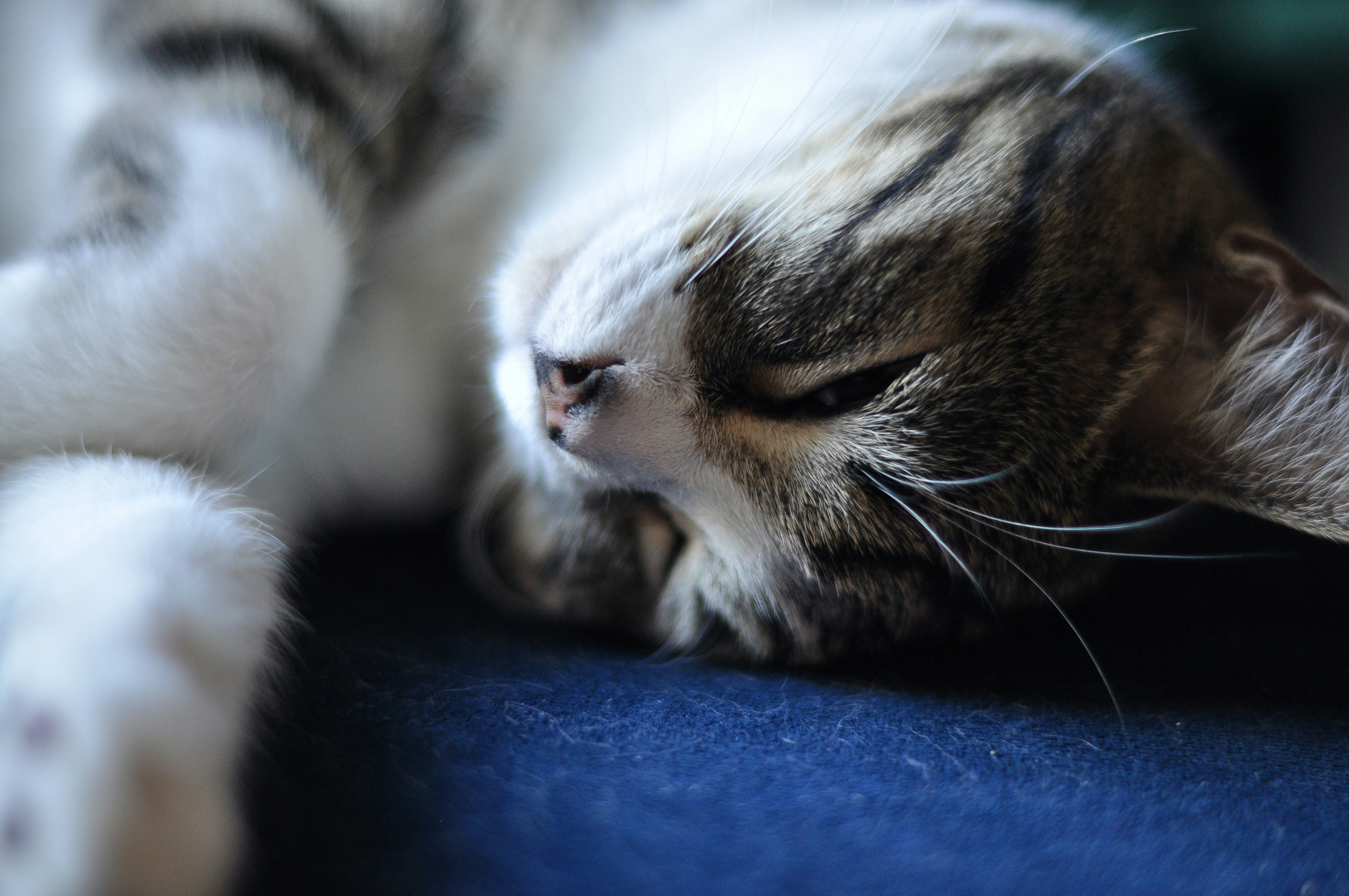 Photo by cameramandan83