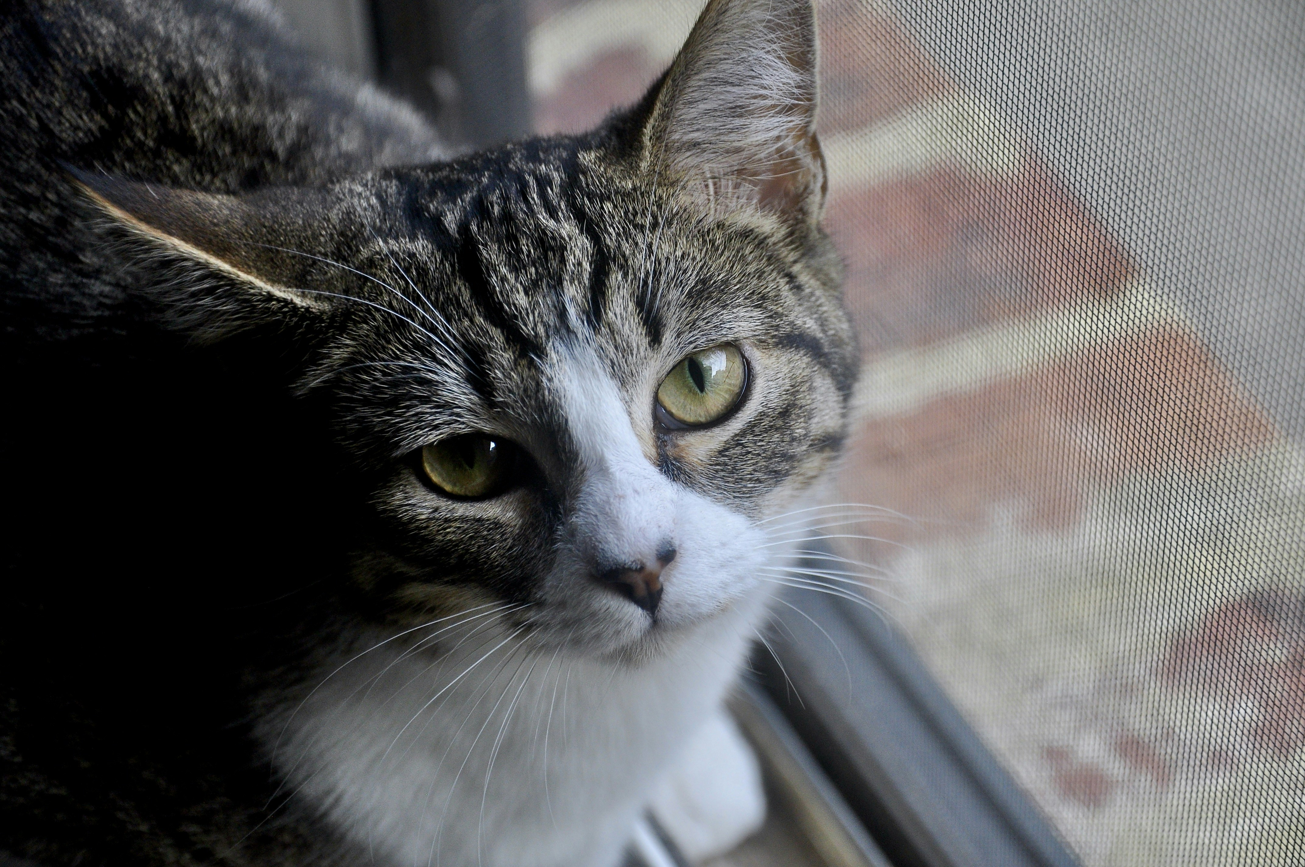 Photo by cameramandan83