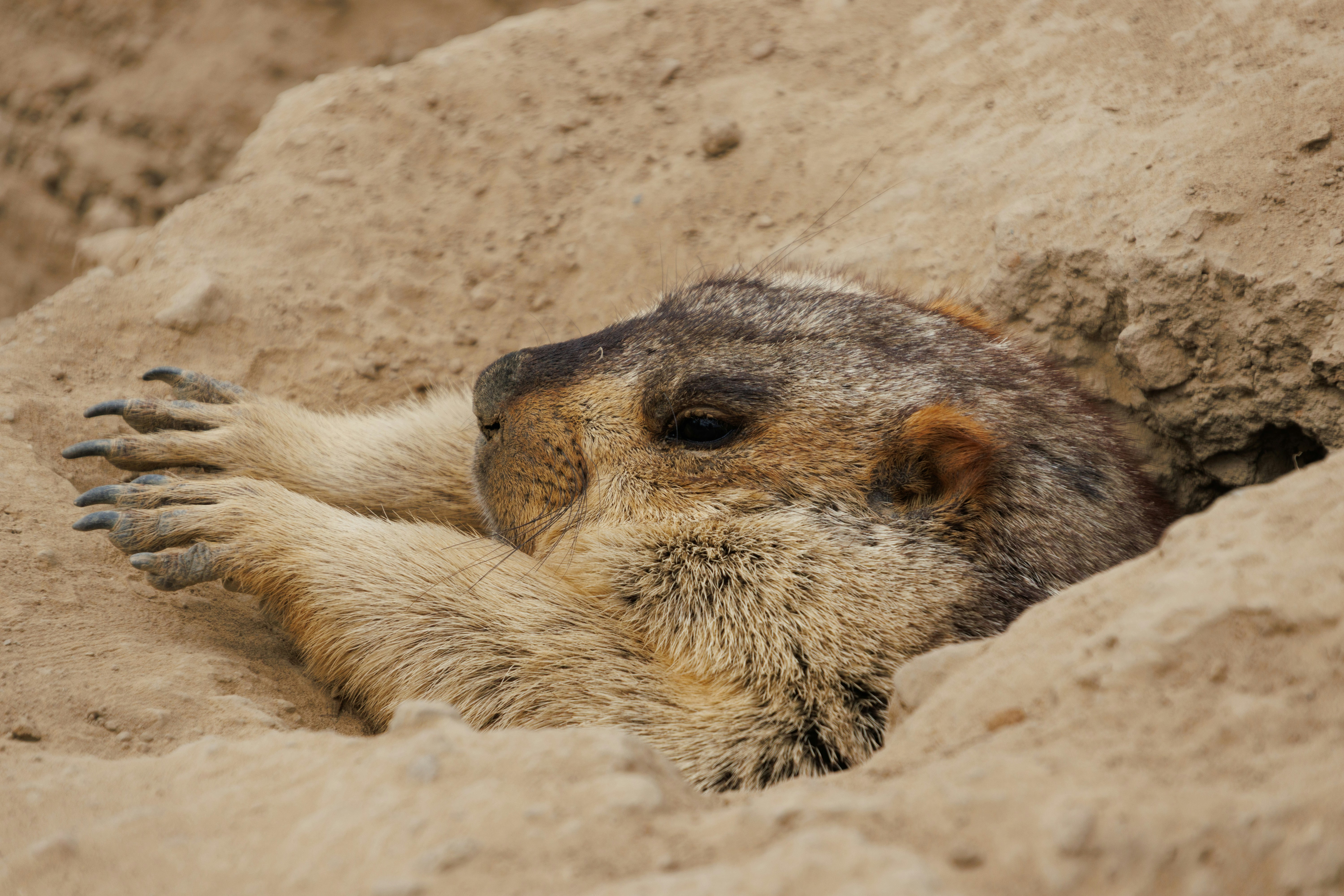 Photo by floatflower