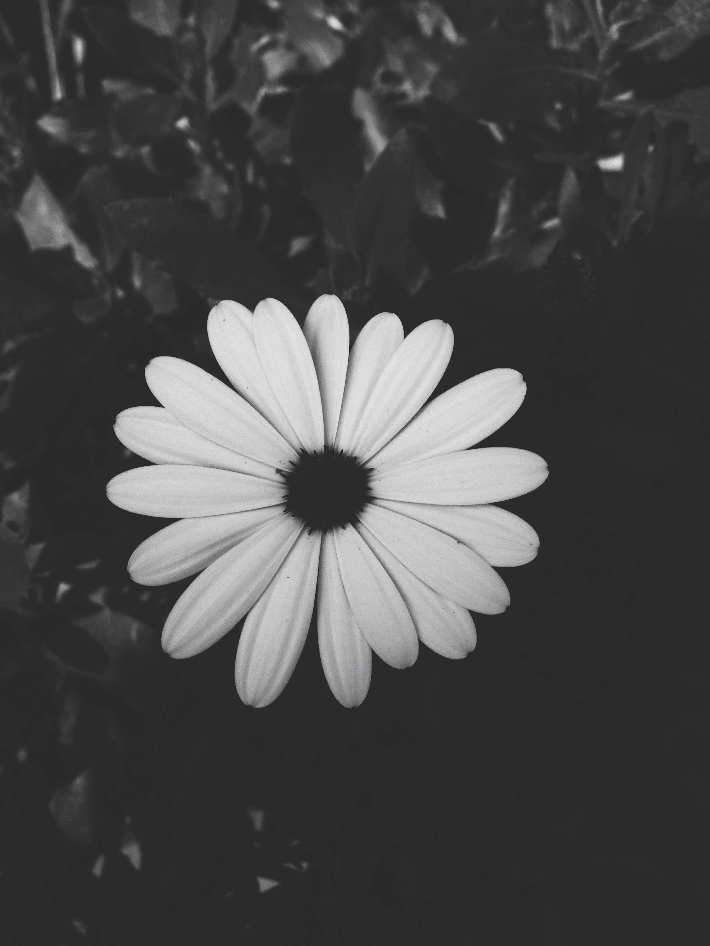 Photo by marcin_wrob_photo