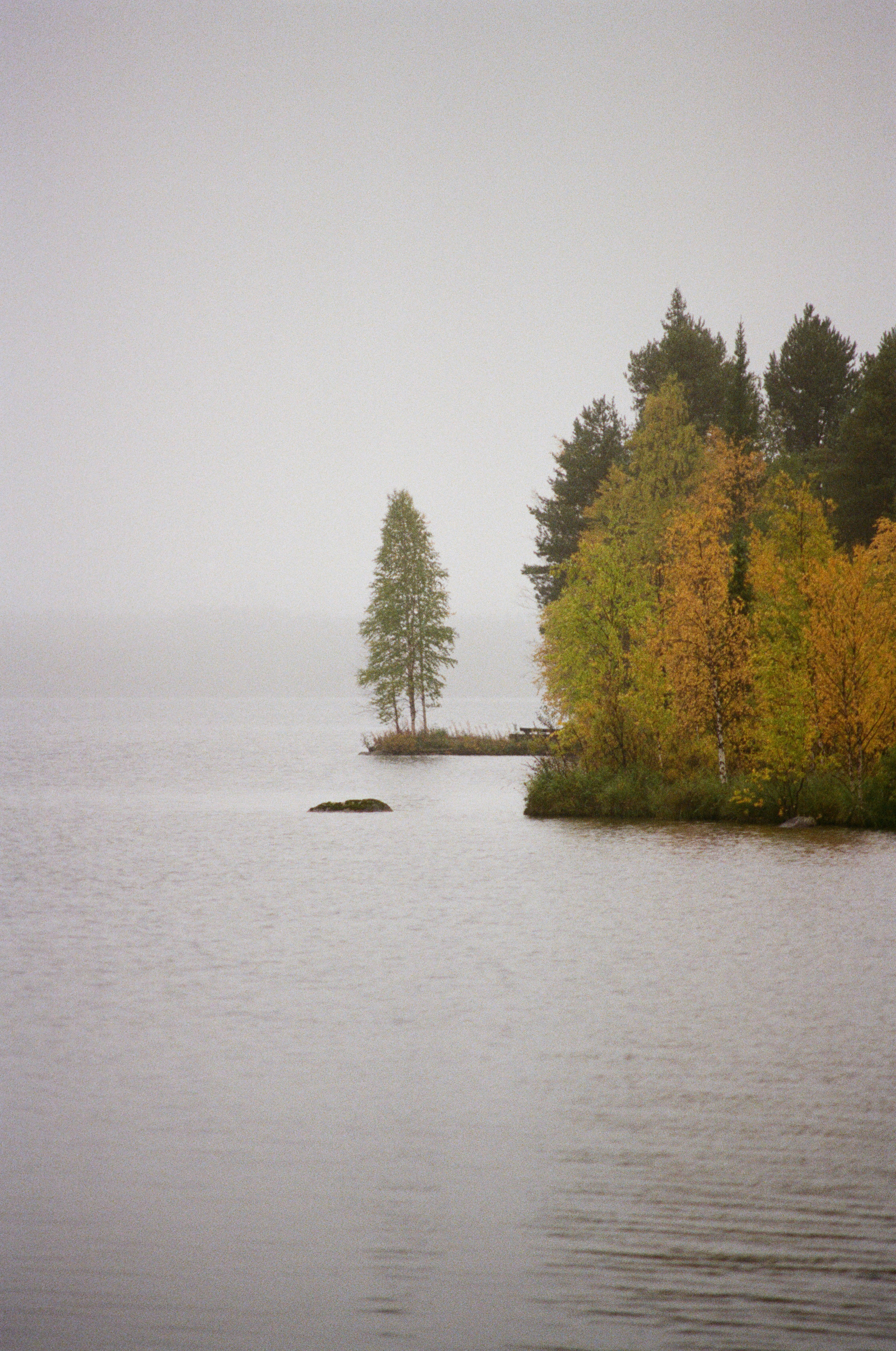 Photo by bernhardbar