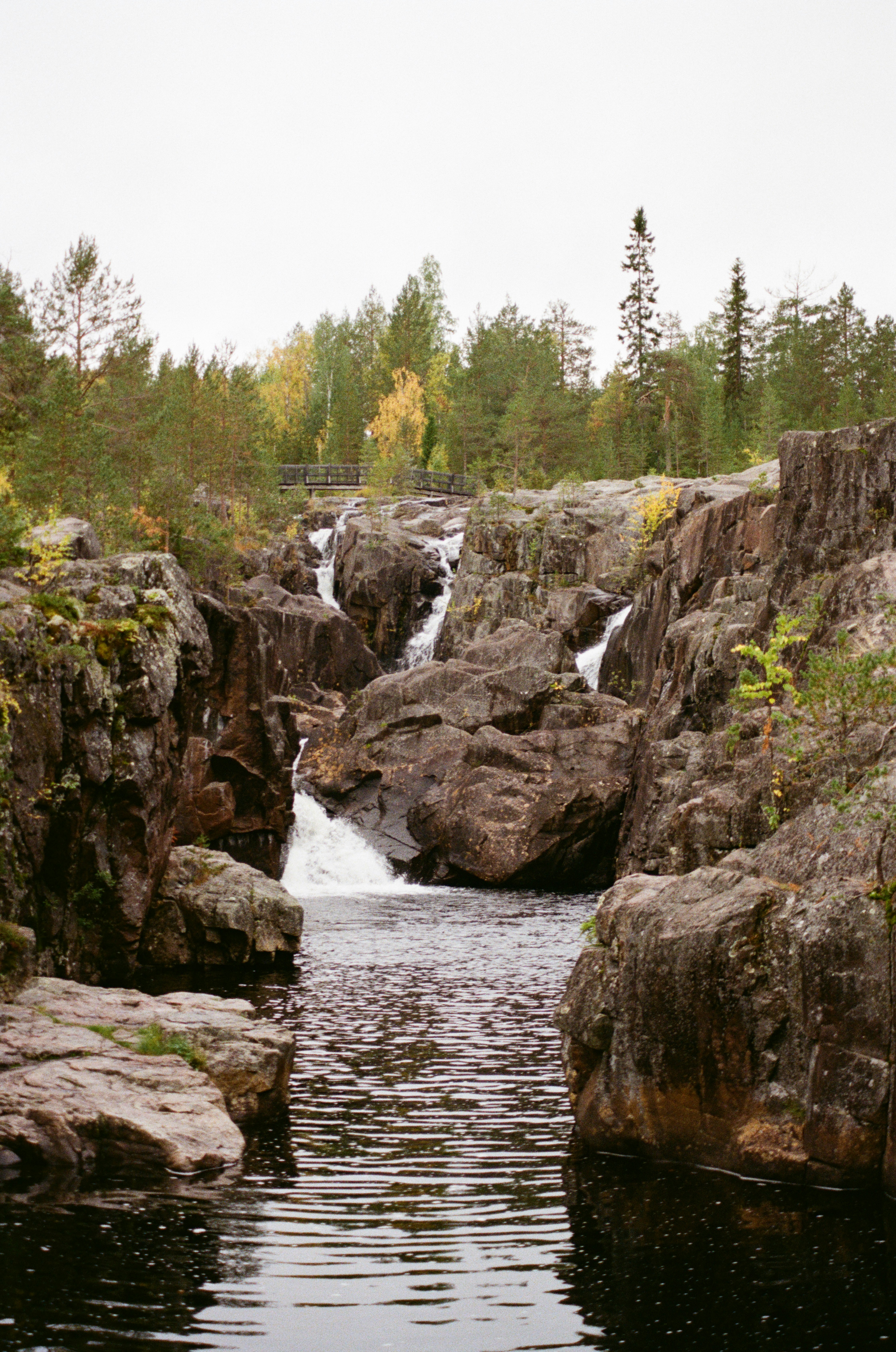 Photo by bernhardbar