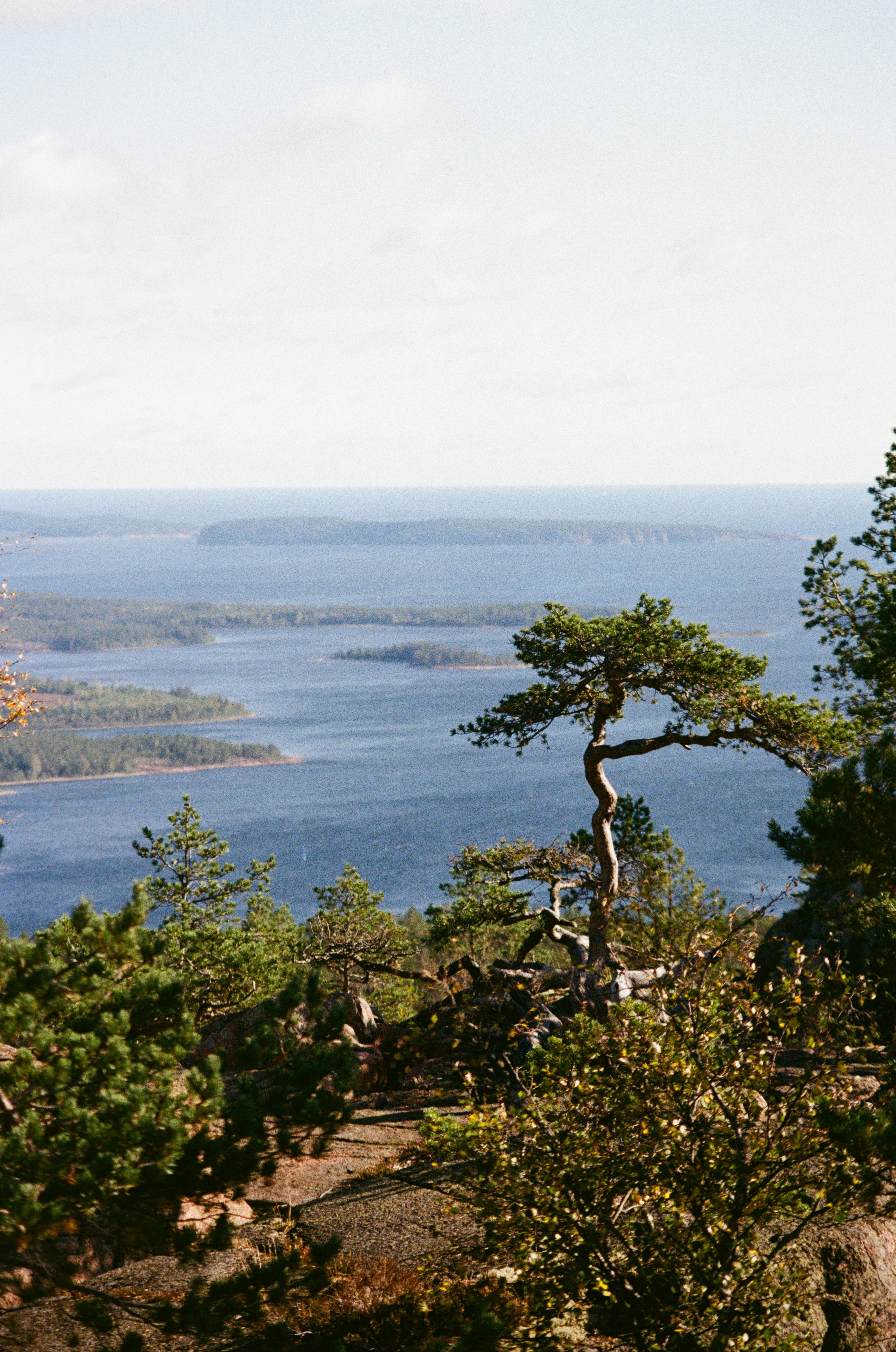 Photo by bernhardbar