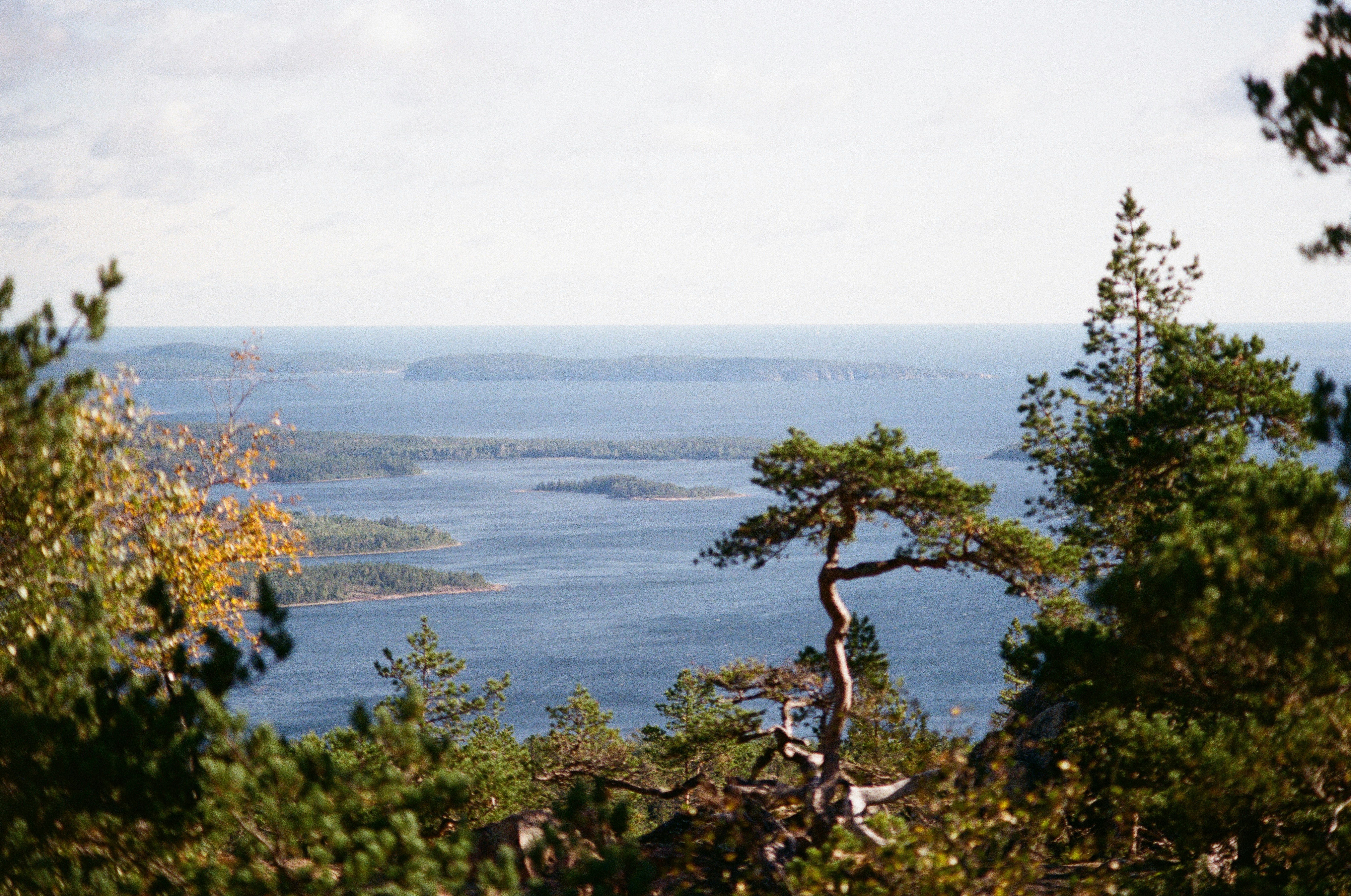 Photo by bernhardbar