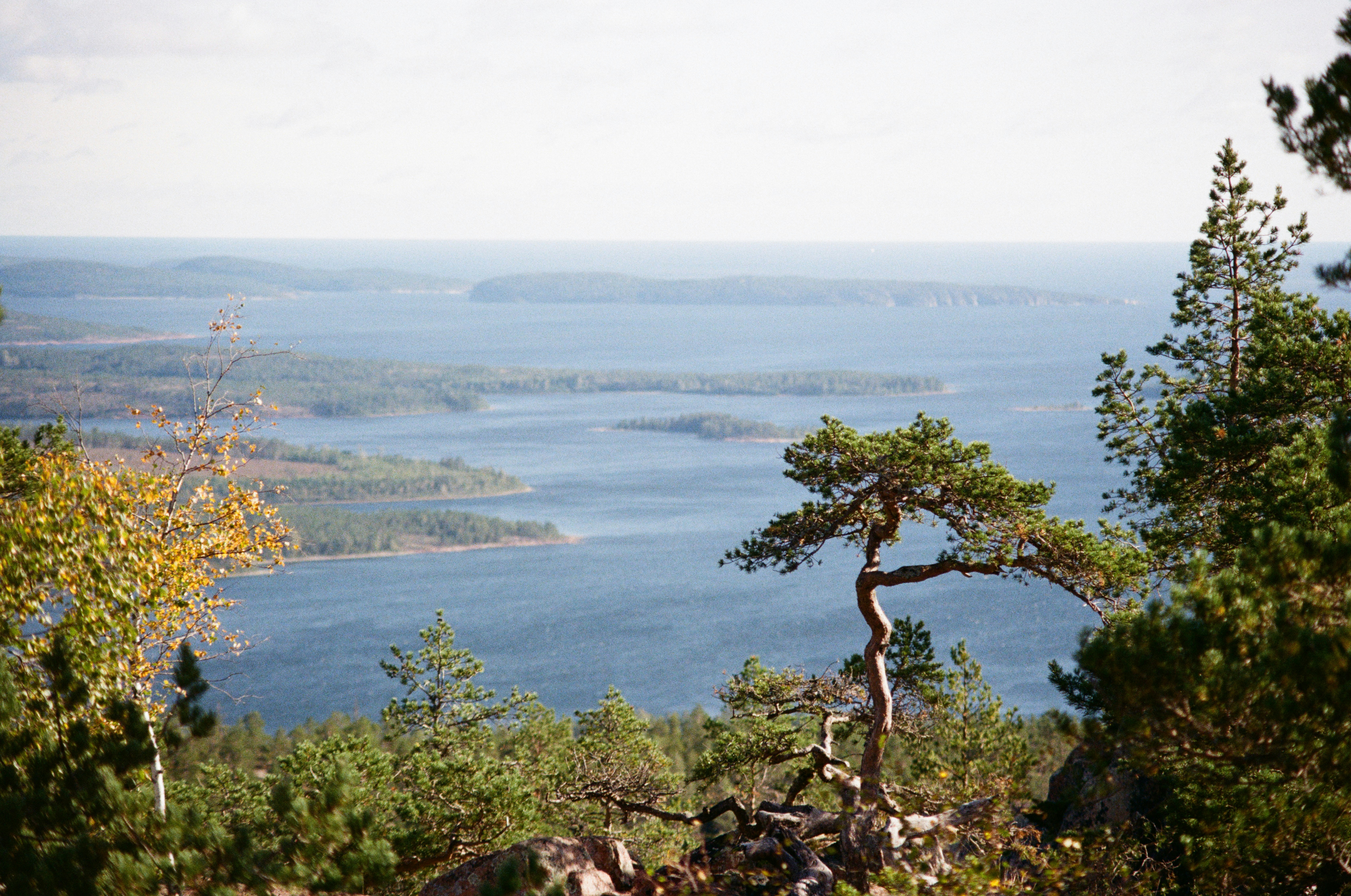 Photo by bernhardbar