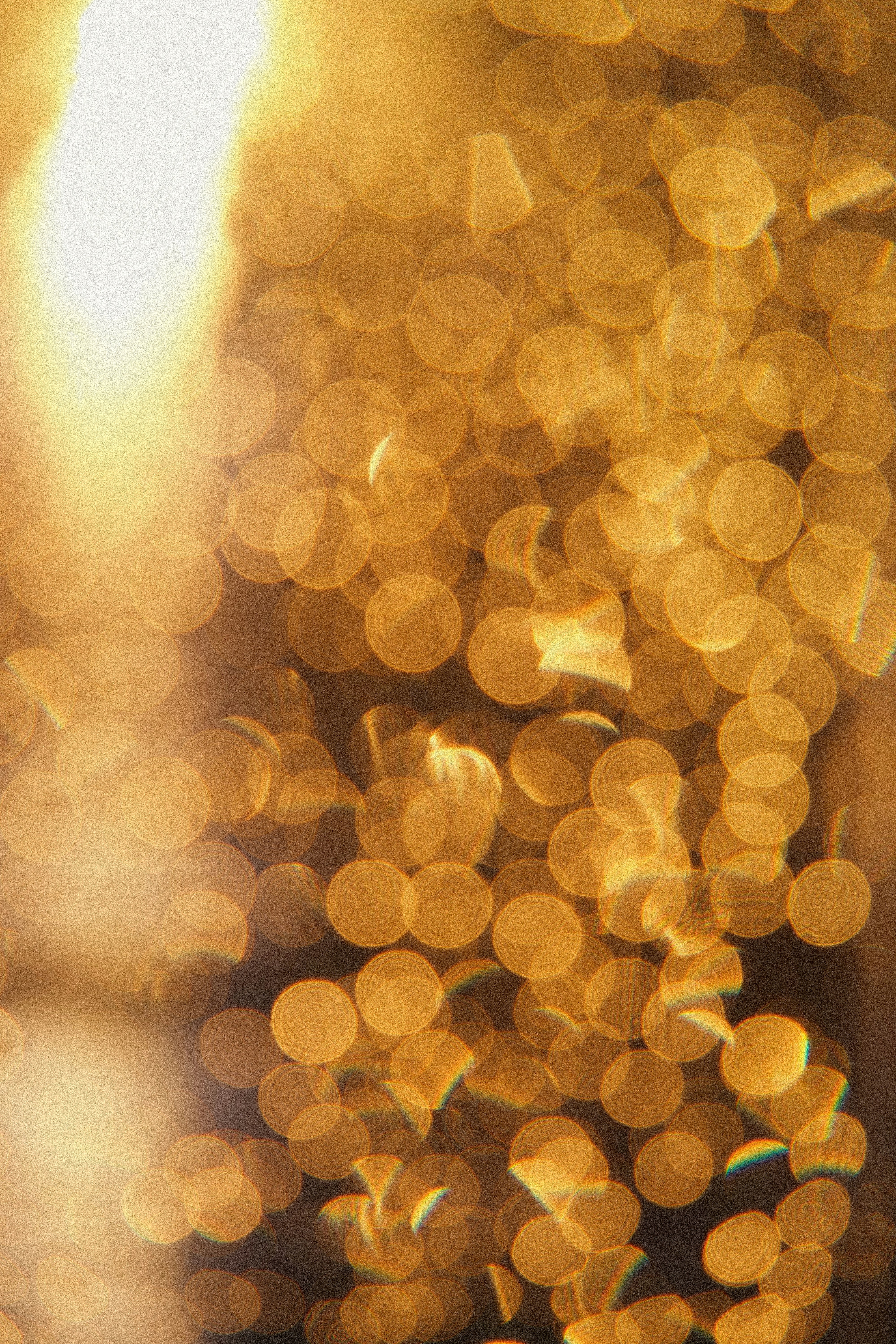 Photo by slenderrowantree