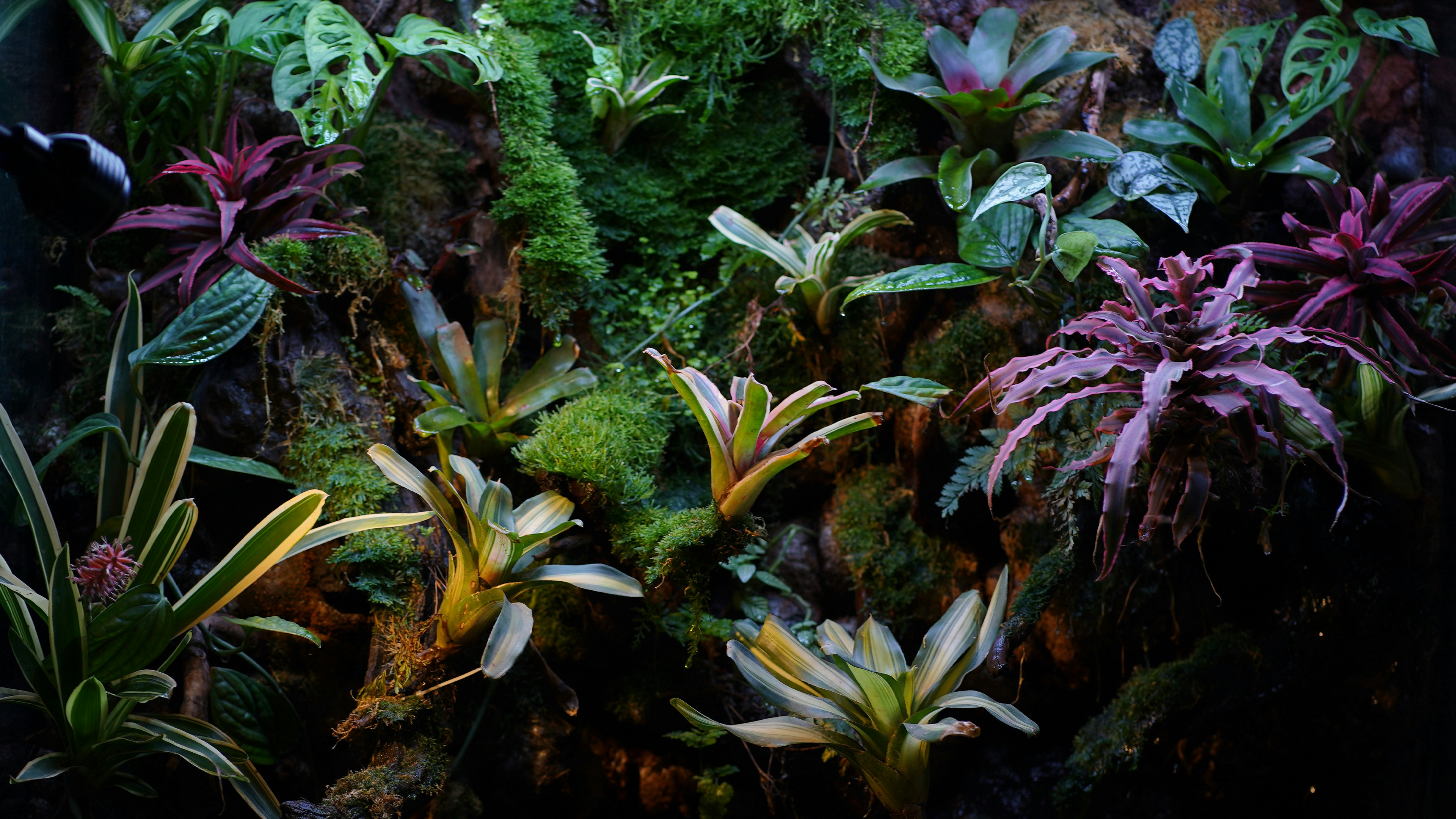 Photo by jeevitha15120