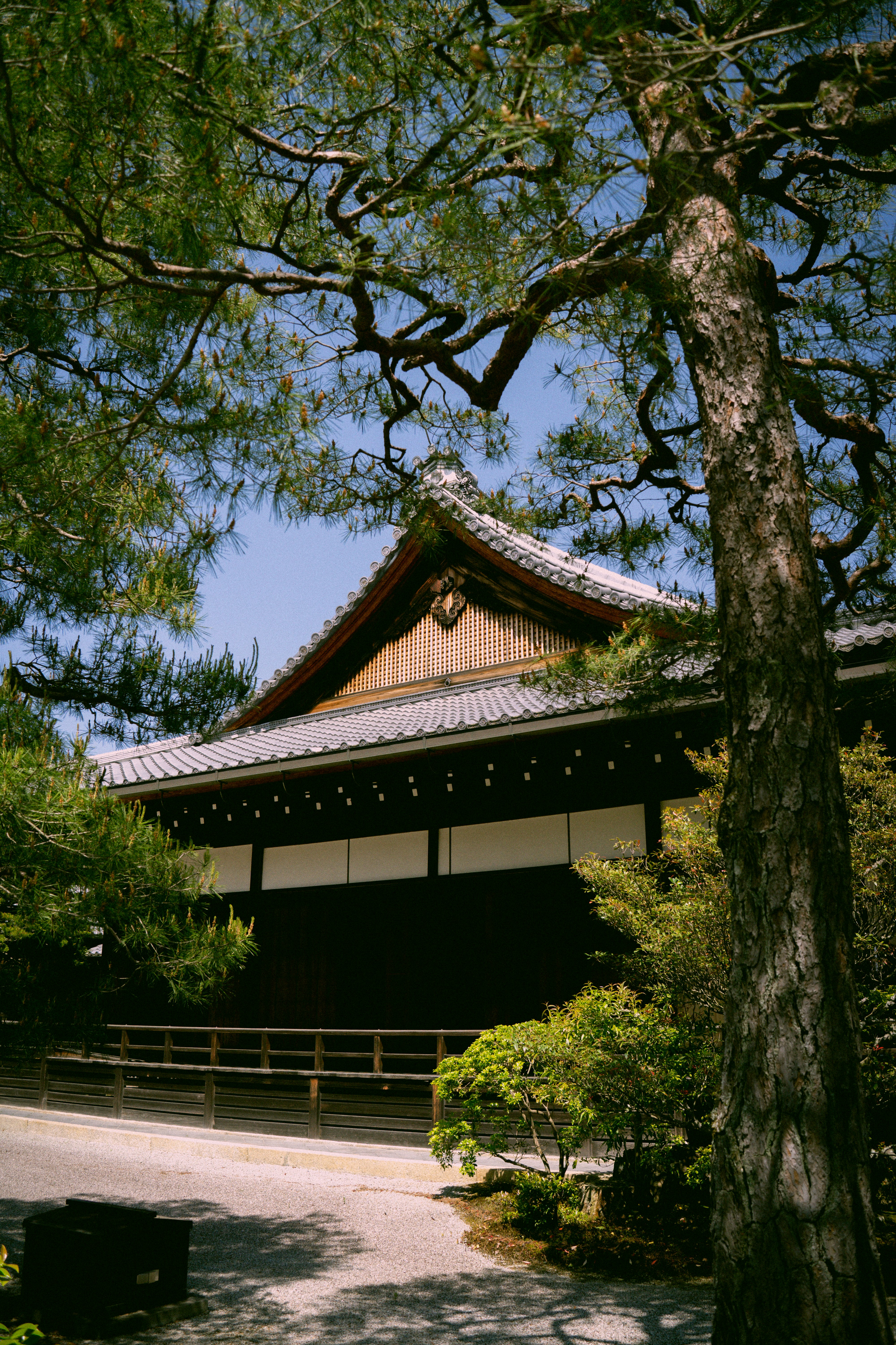 Photo by jivangarcha