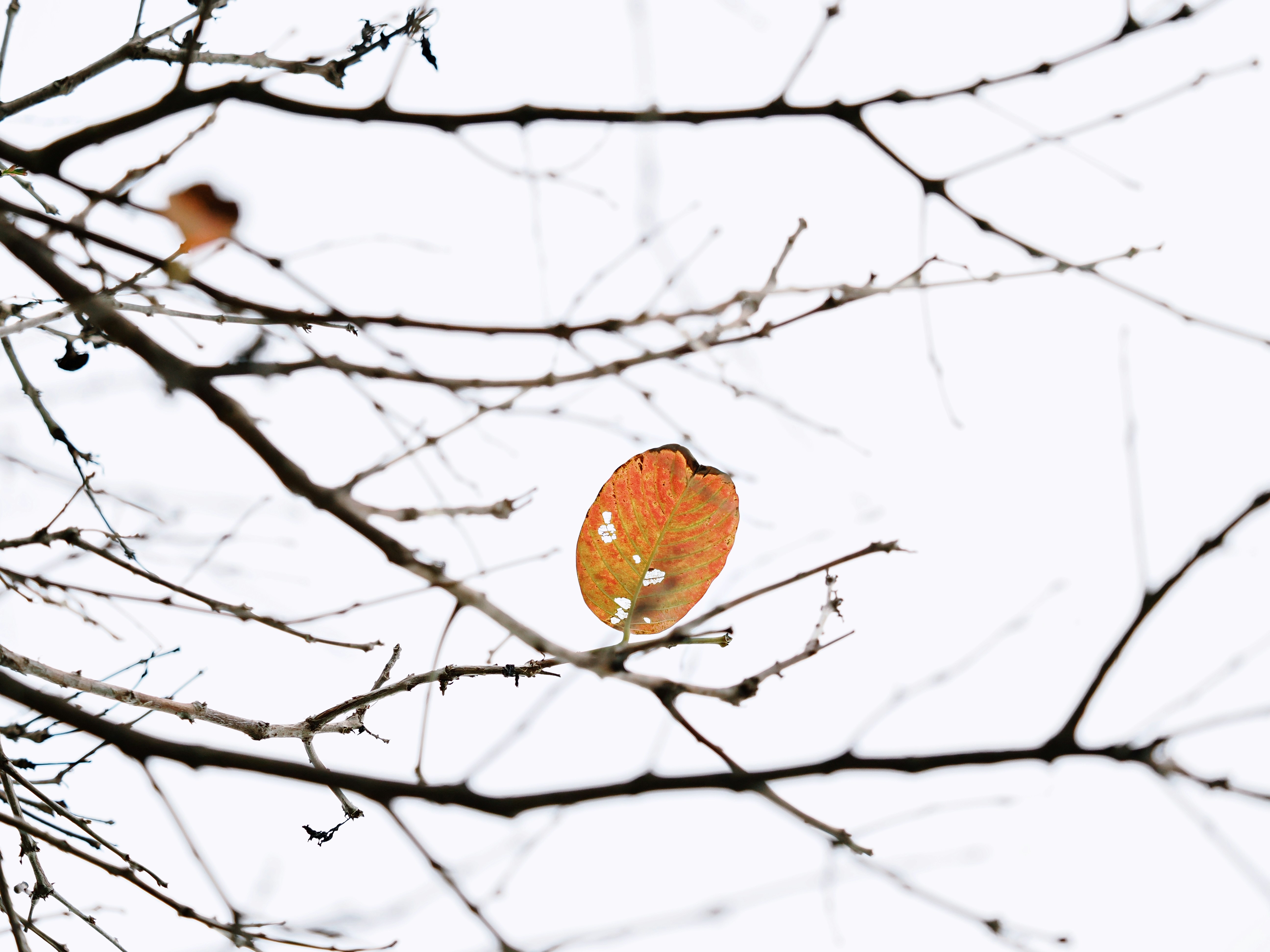 Photo by liliantruong2603