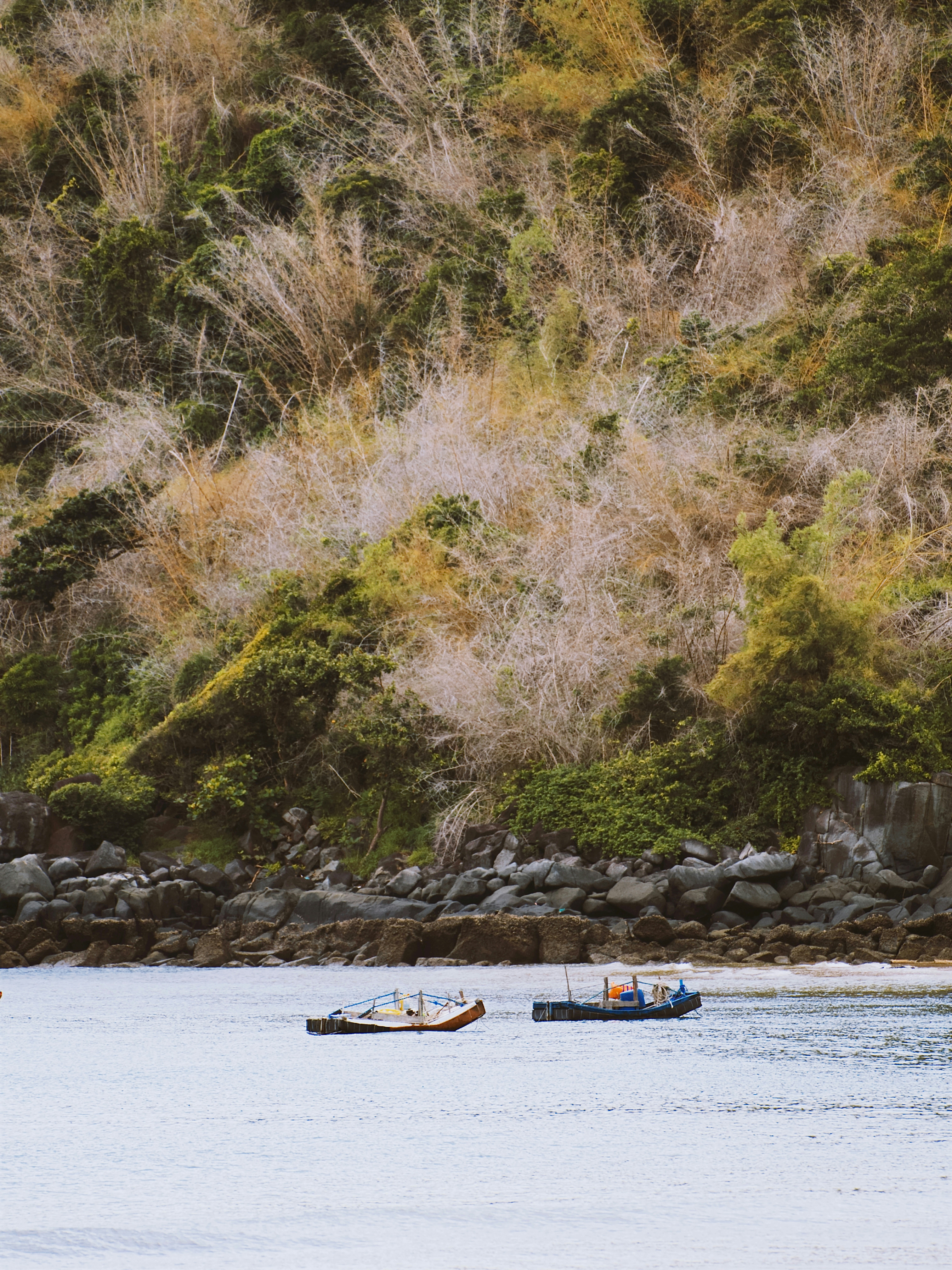 Photo by liliantruong2603