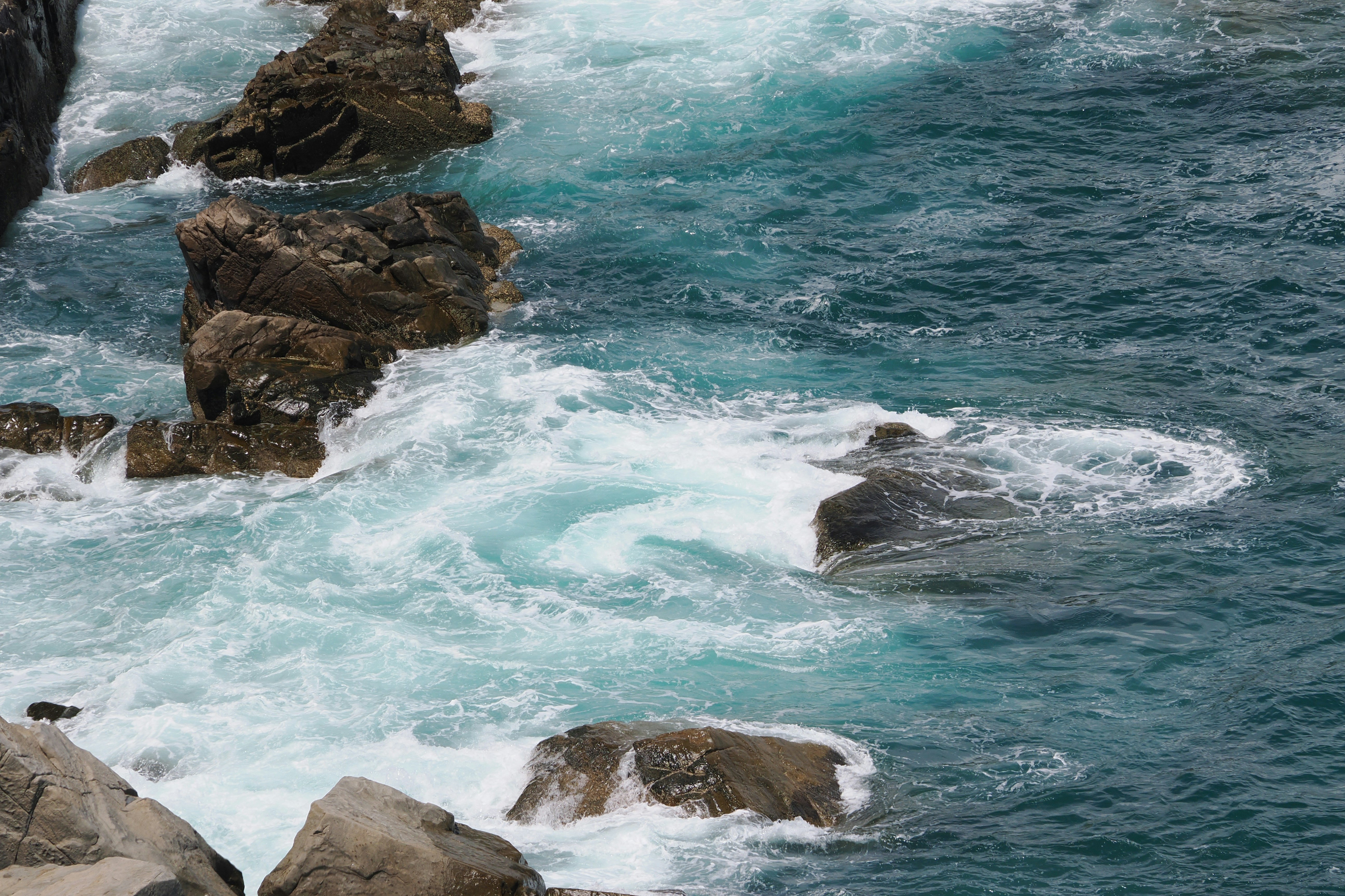 Photo by liliantruong2603