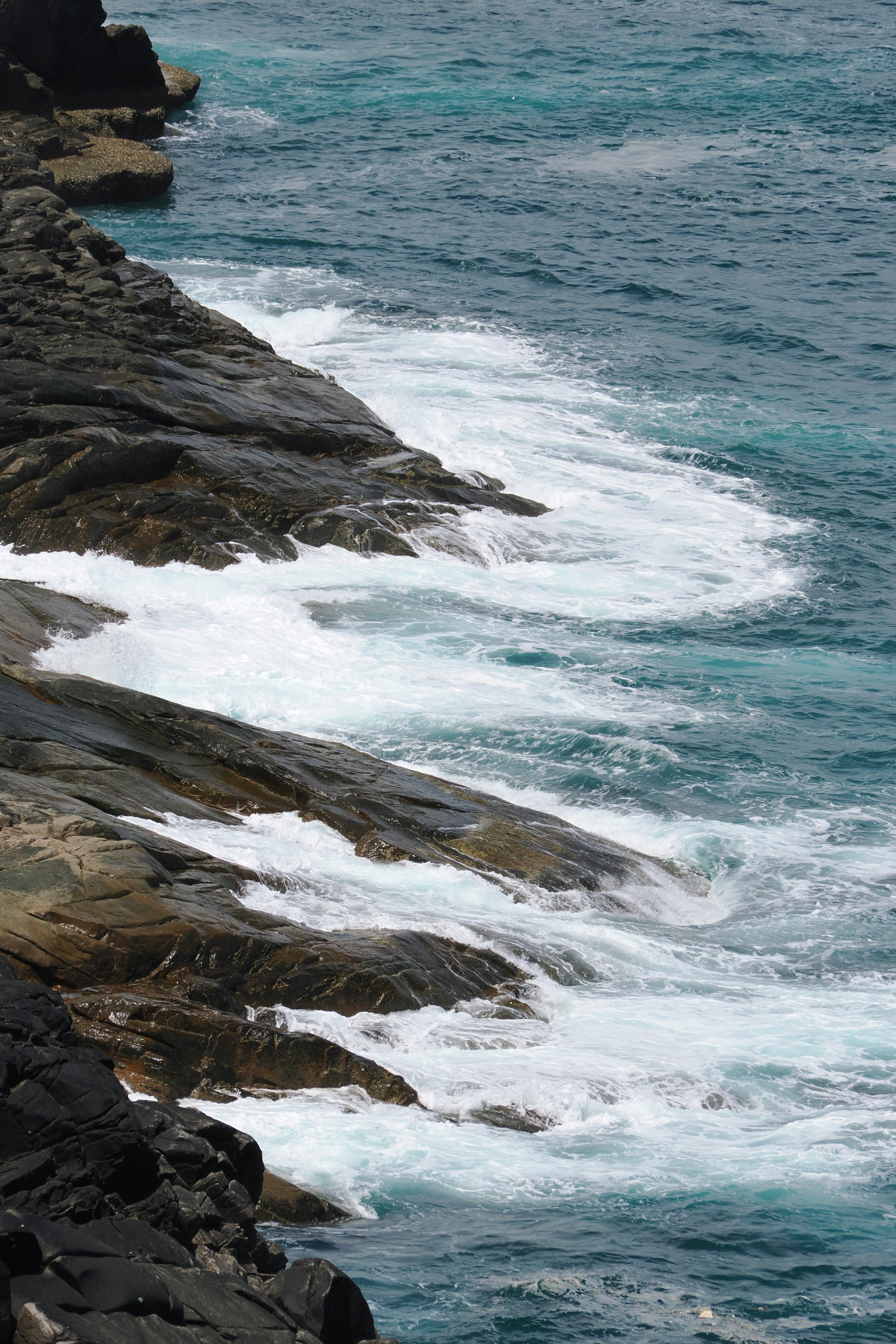 Photo by liliantruong2603