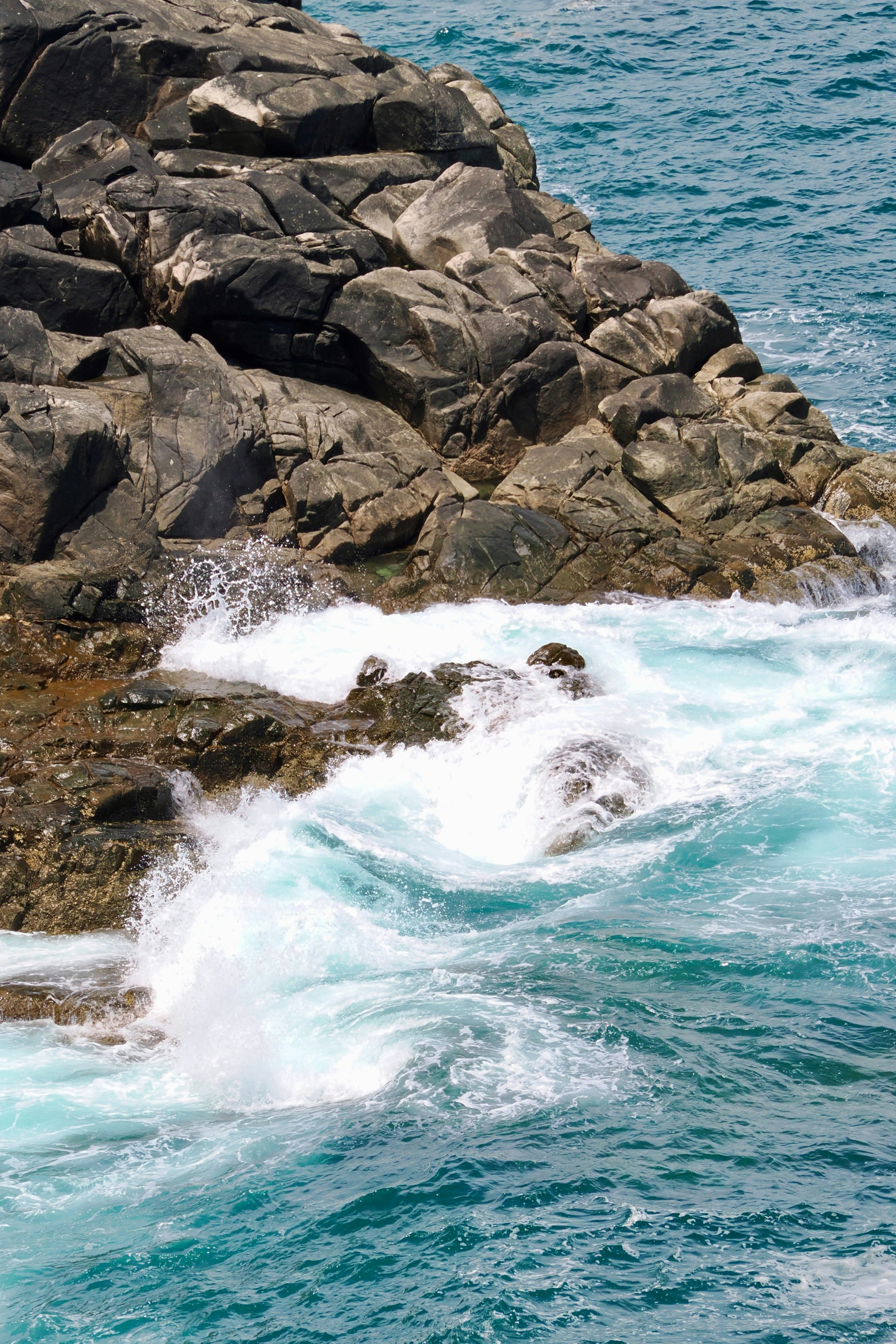 Photo by liliantruong2603