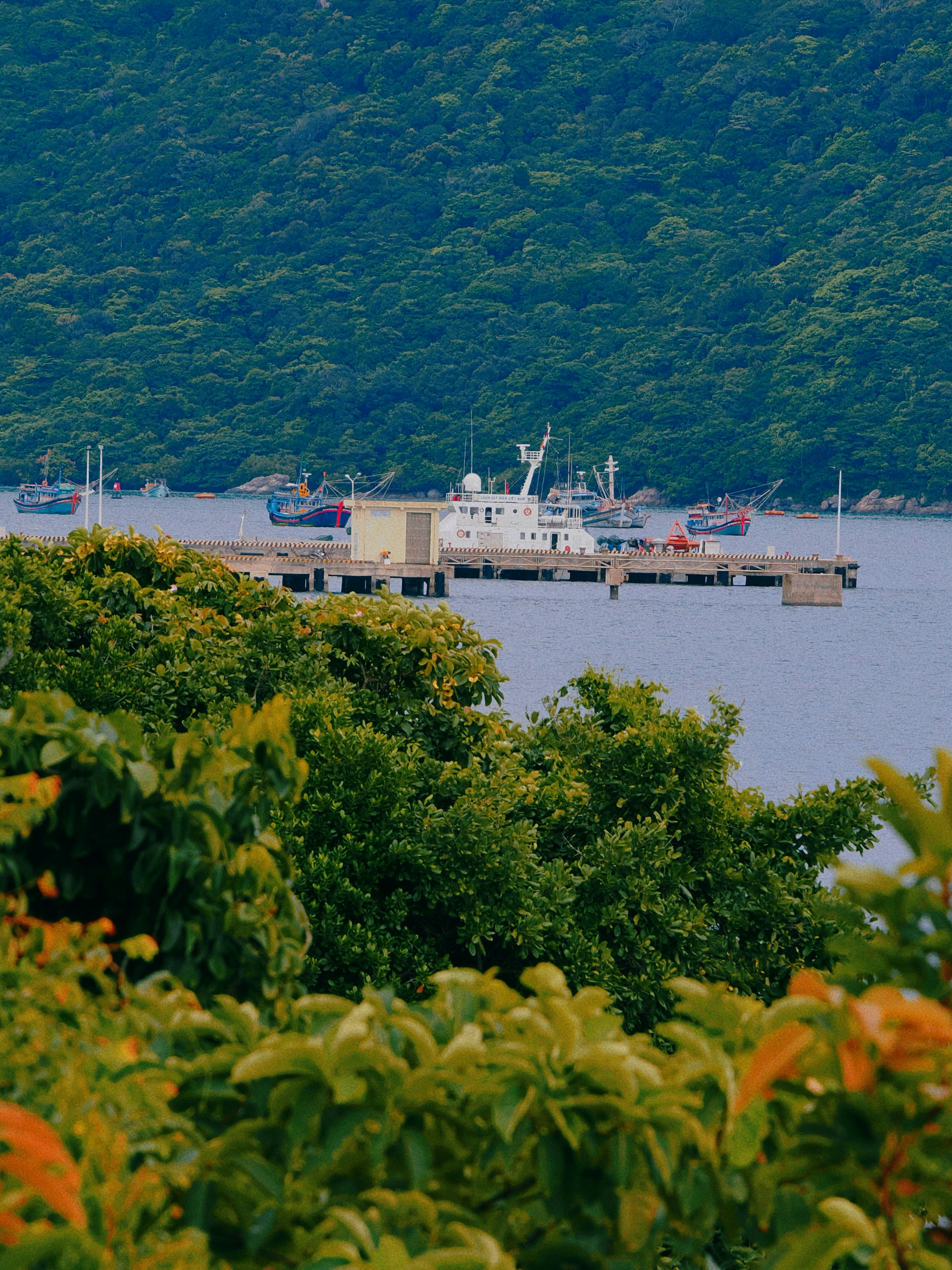 Setouchi ferry journey