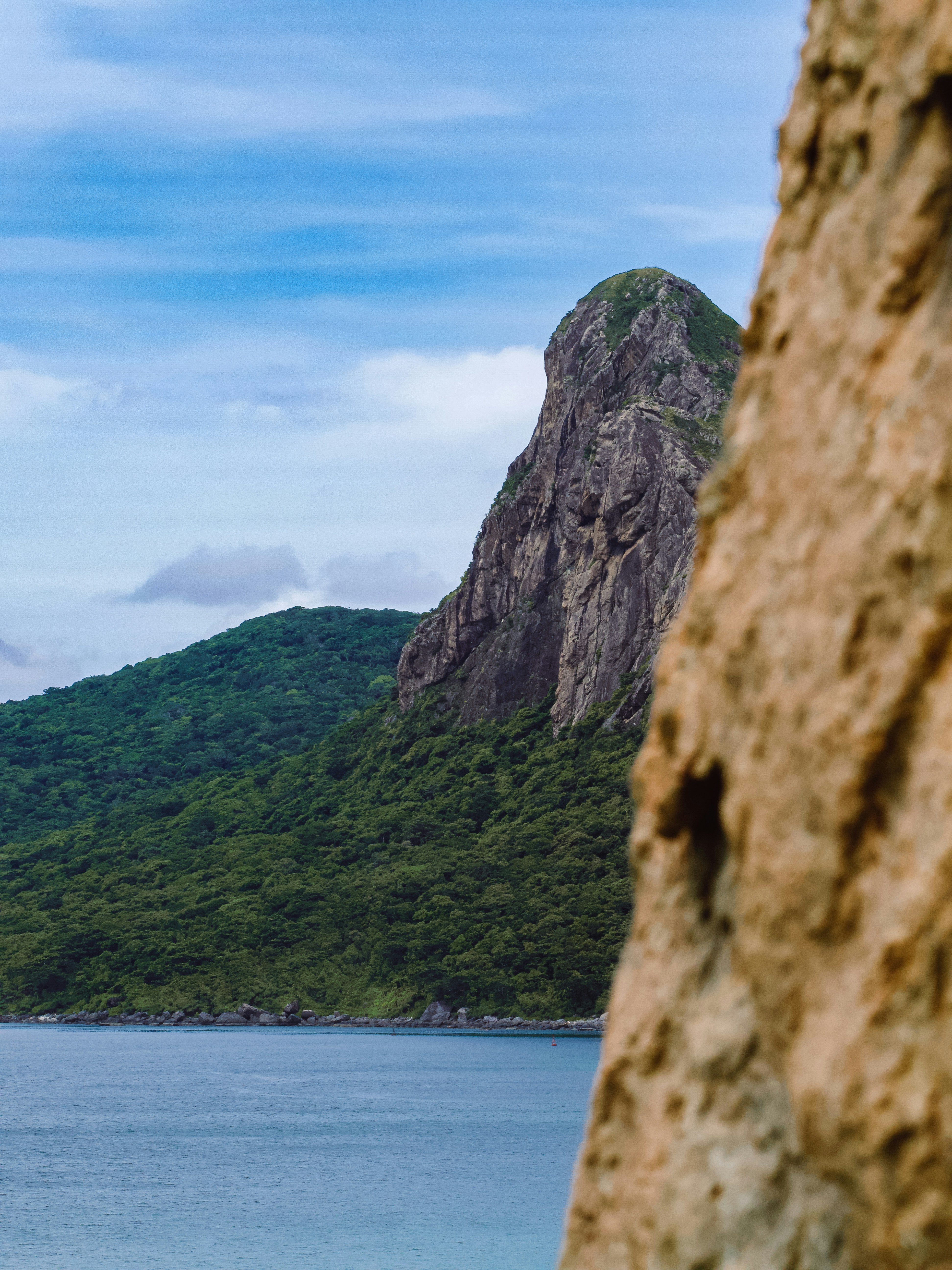 Photo by liliantruong2603