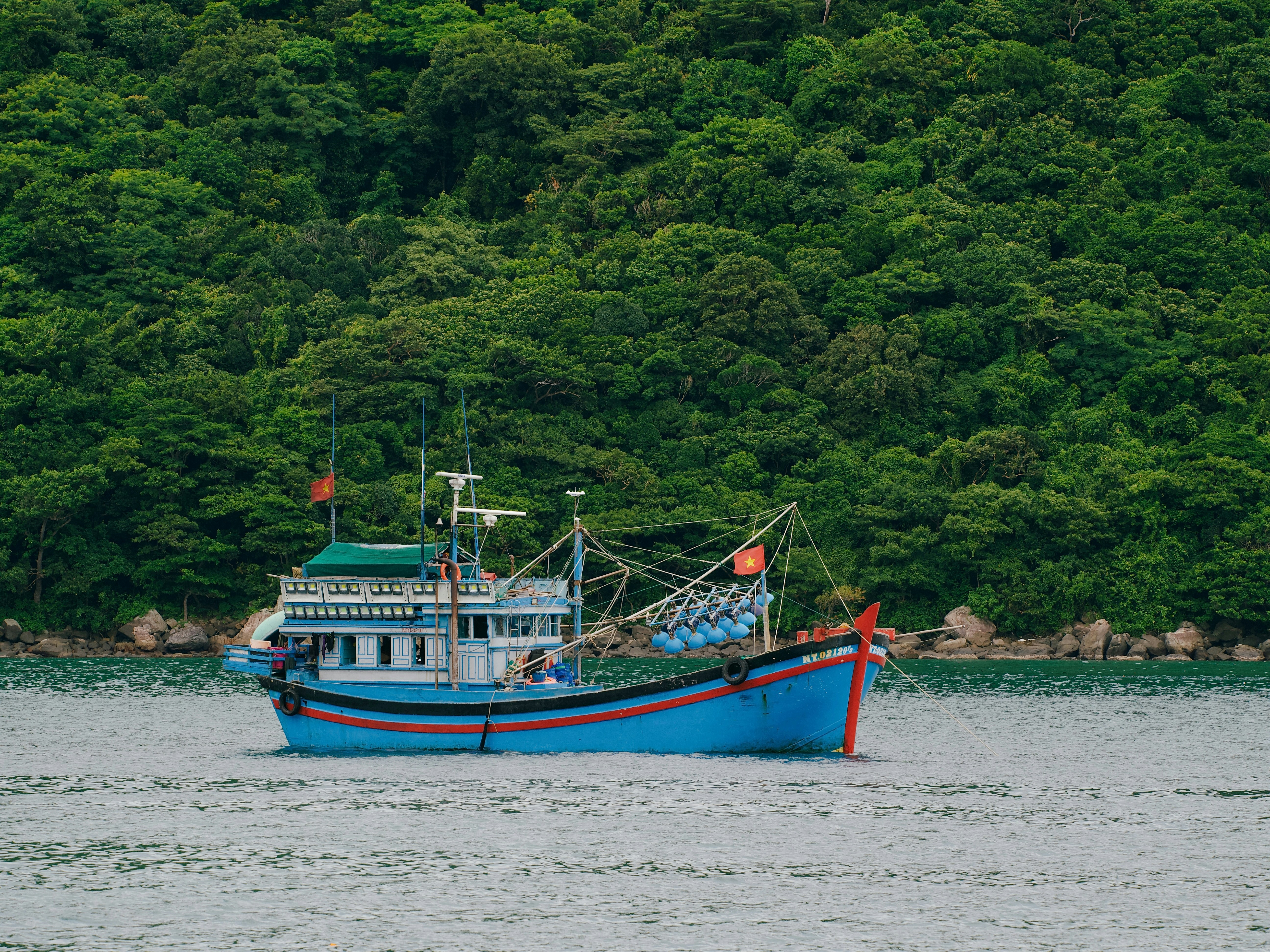 Photo by liliantruong2603