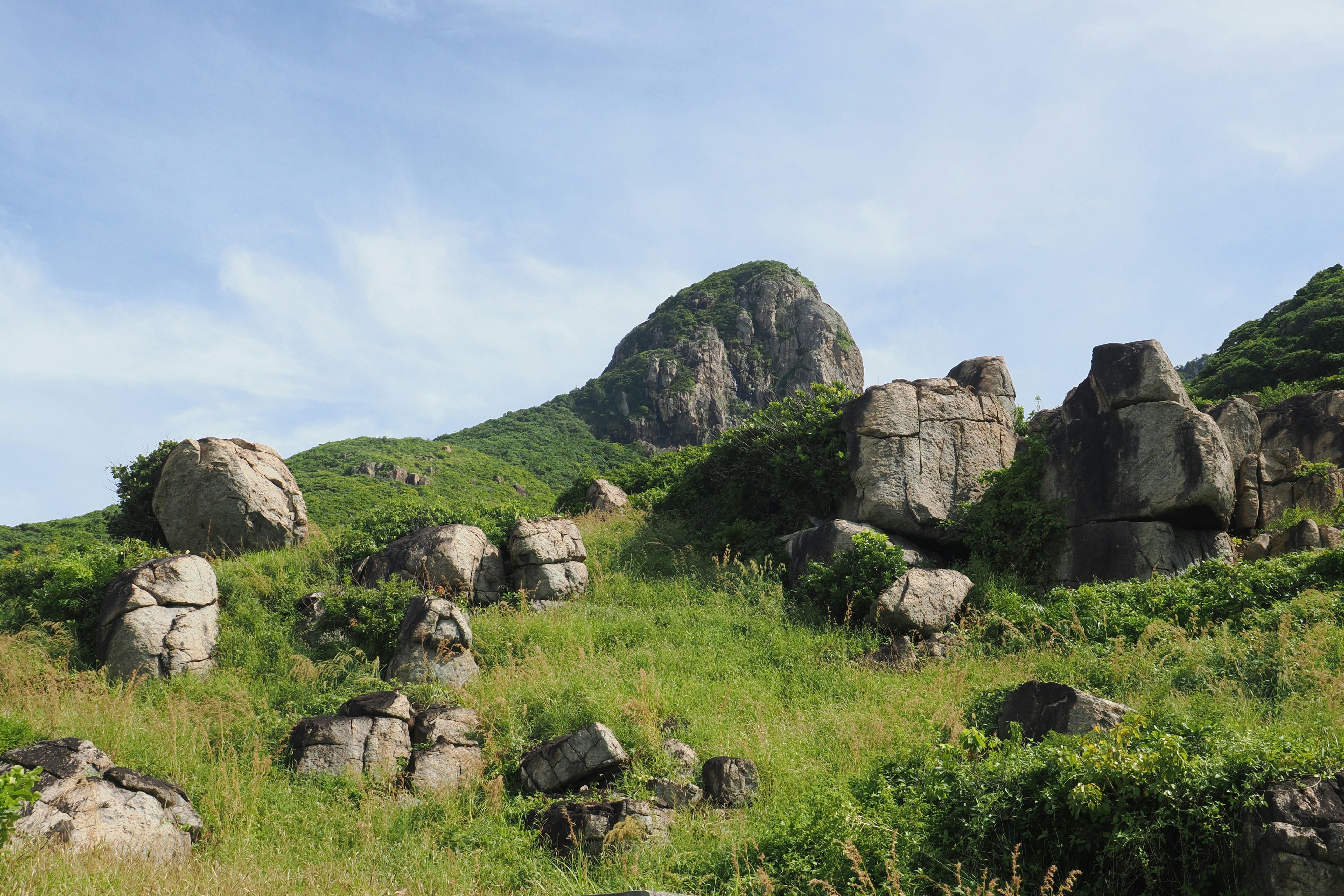 Photo by liliantruong2603