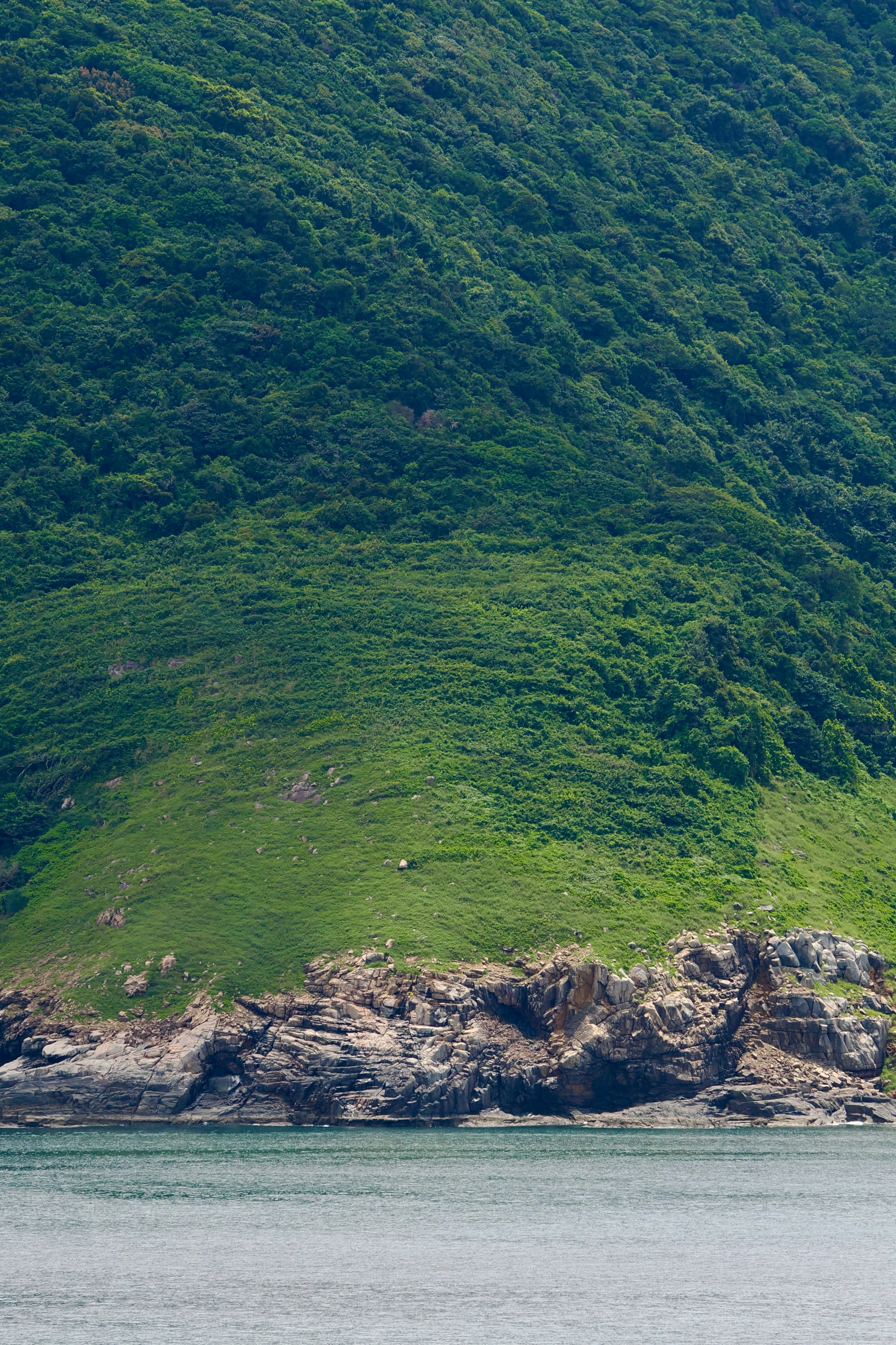 Photo by liliantruong2603